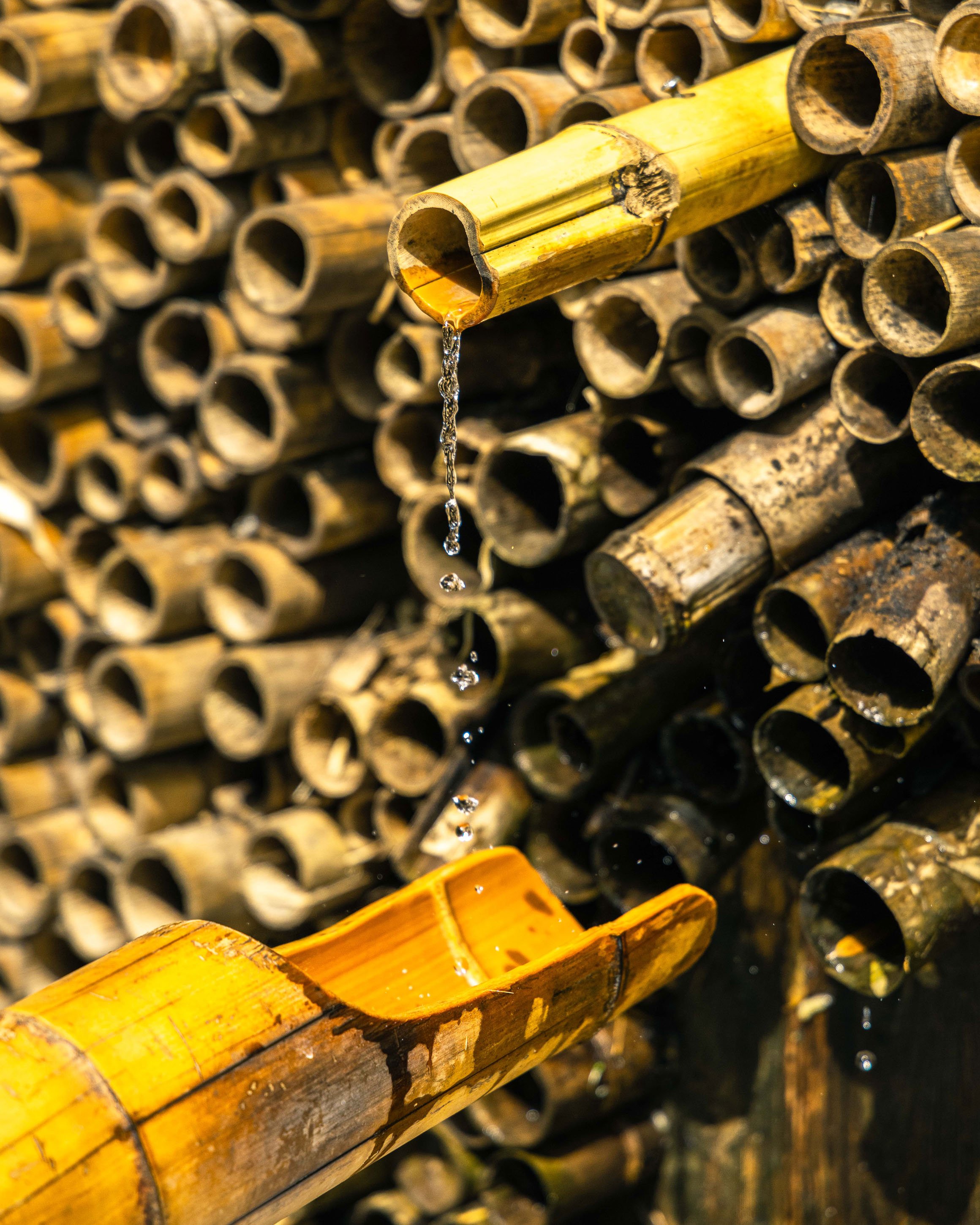 Tubi di bambù impilati con alcune sezioni di bacchette da bere con acqua che scende da una di esse.