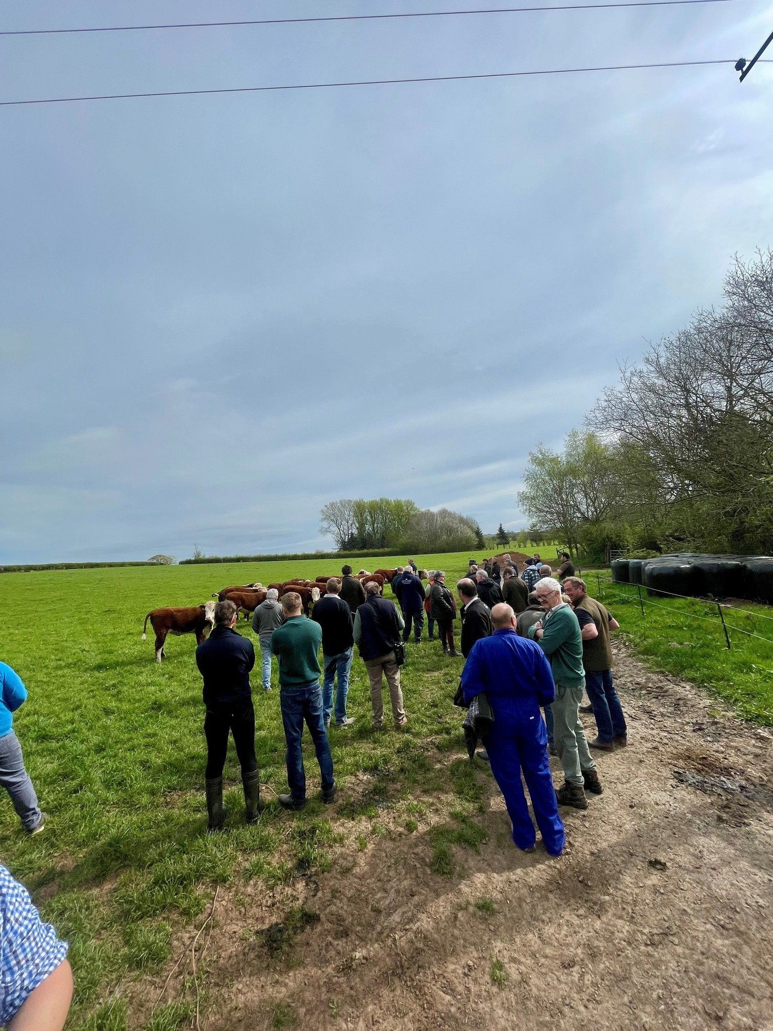 Beef Fertility Meeting Success!