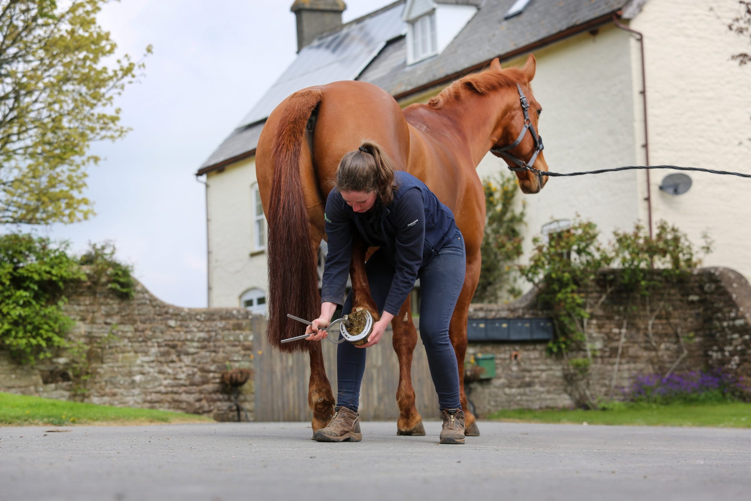 Colic, Cuts and Crises: Handling Emergencies with Confidence
