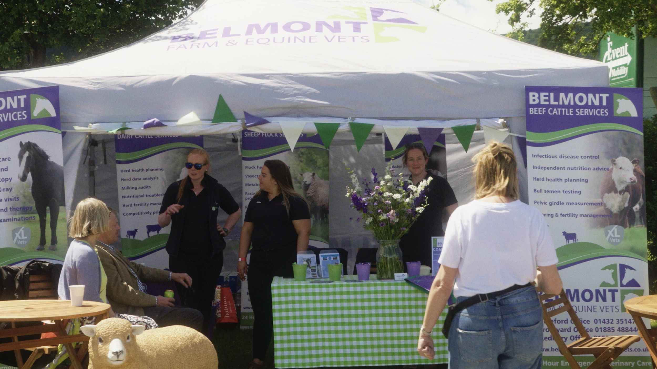 Three Counties Show 