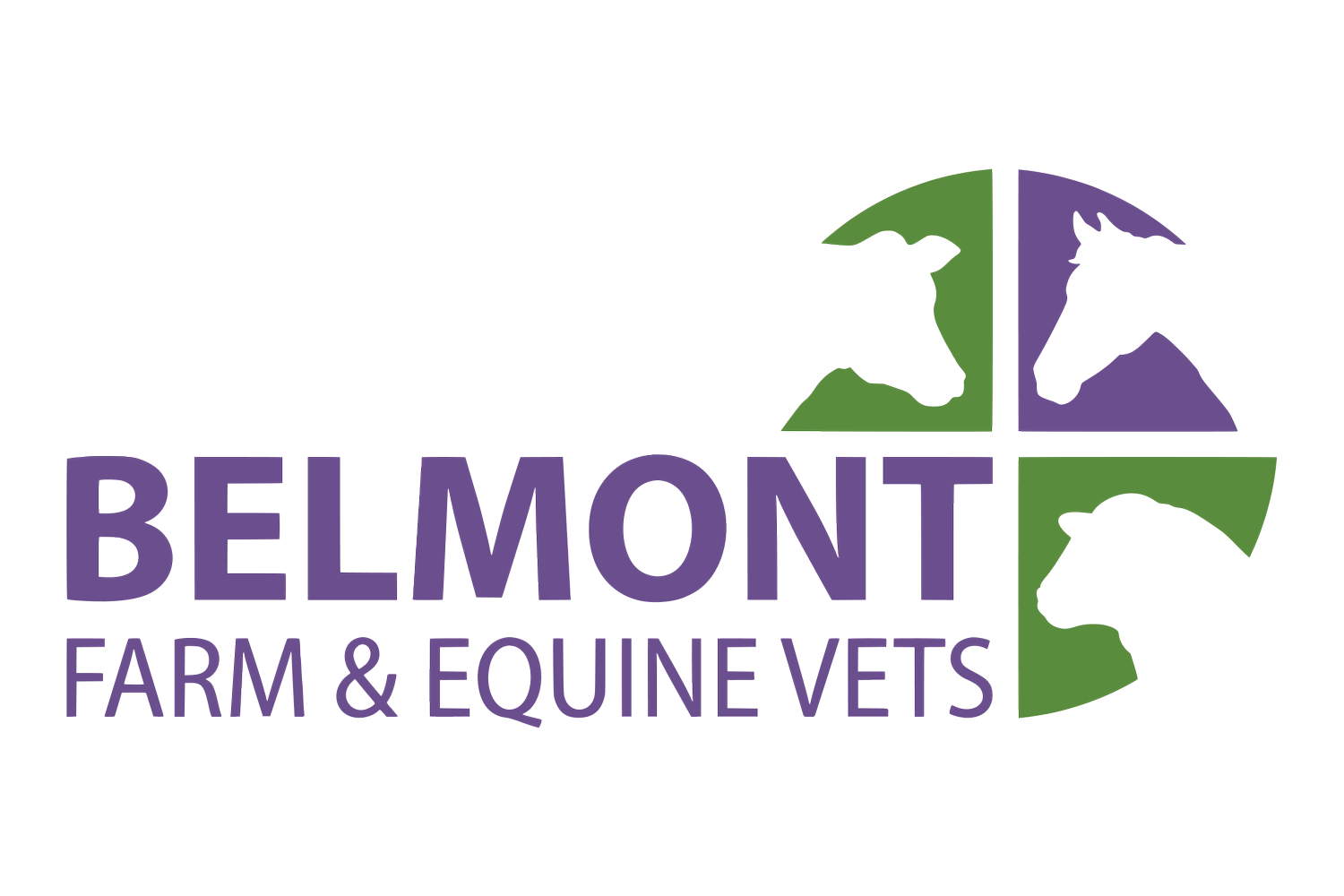 Belmont Farm and Equine Vets