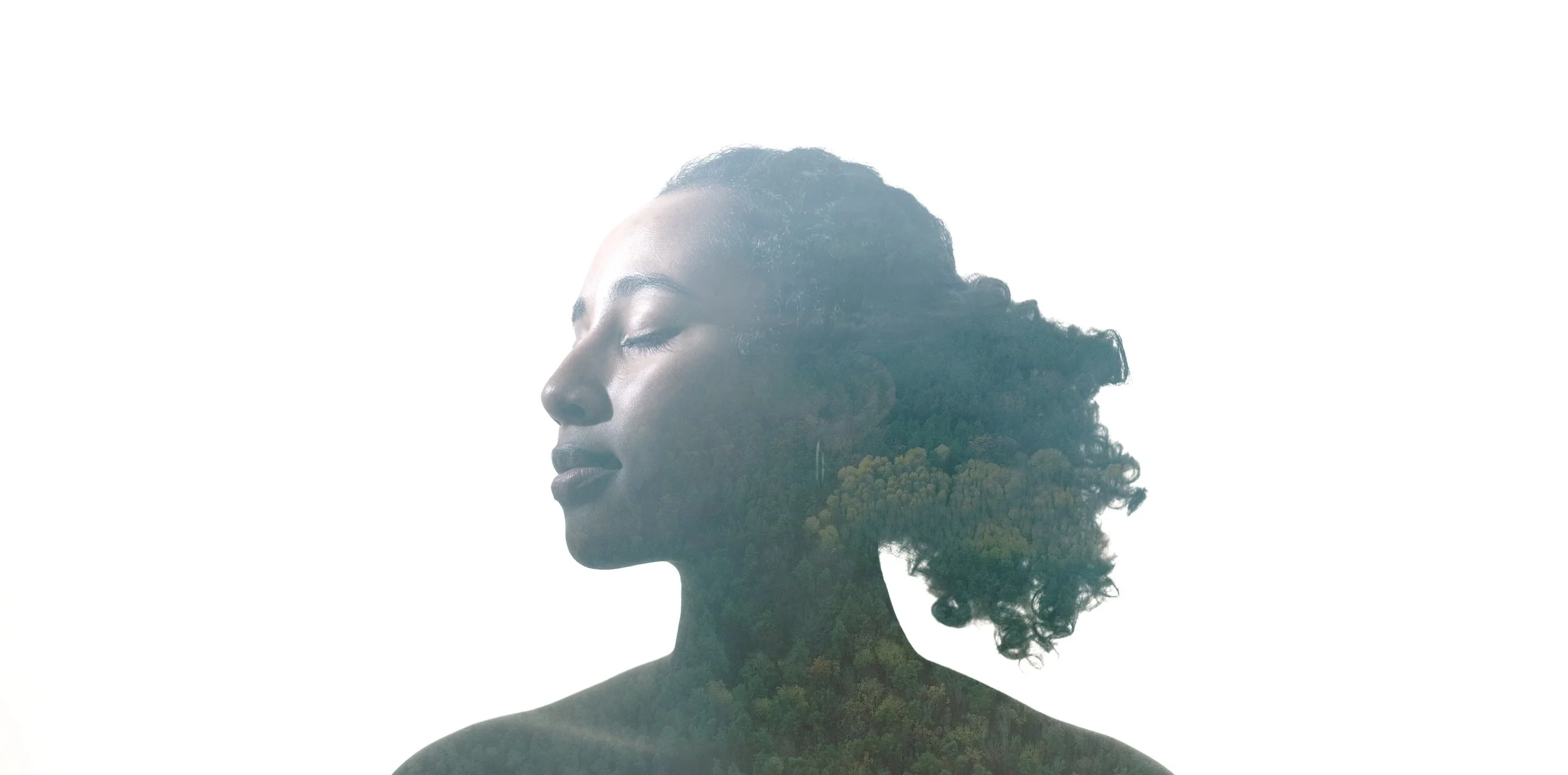 A woman with closed eyes and natural curly hair, with a double exposure of a lush forest within her silhouette, set against a white background.