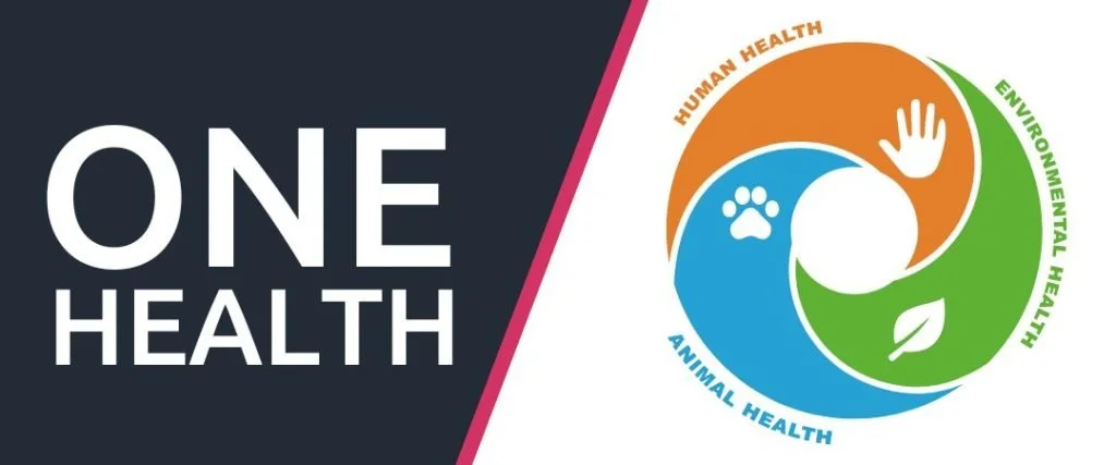 SORMAS 2.0 – Searching for One Health experts