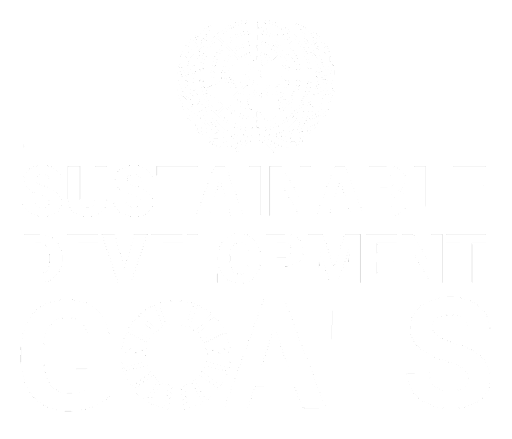Overview — SORMAS Foundation