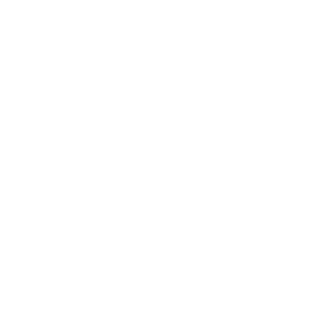 Overview — SORMAS Foundation