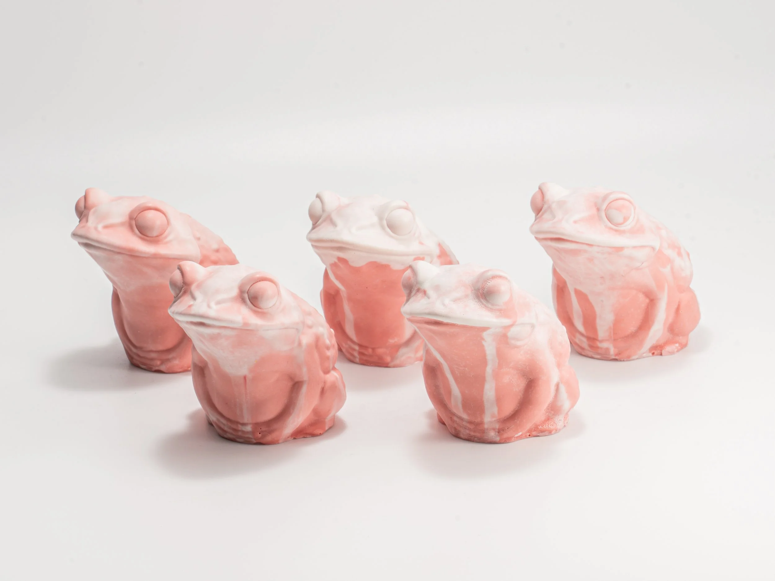 Toad pink white d8-5.jpg