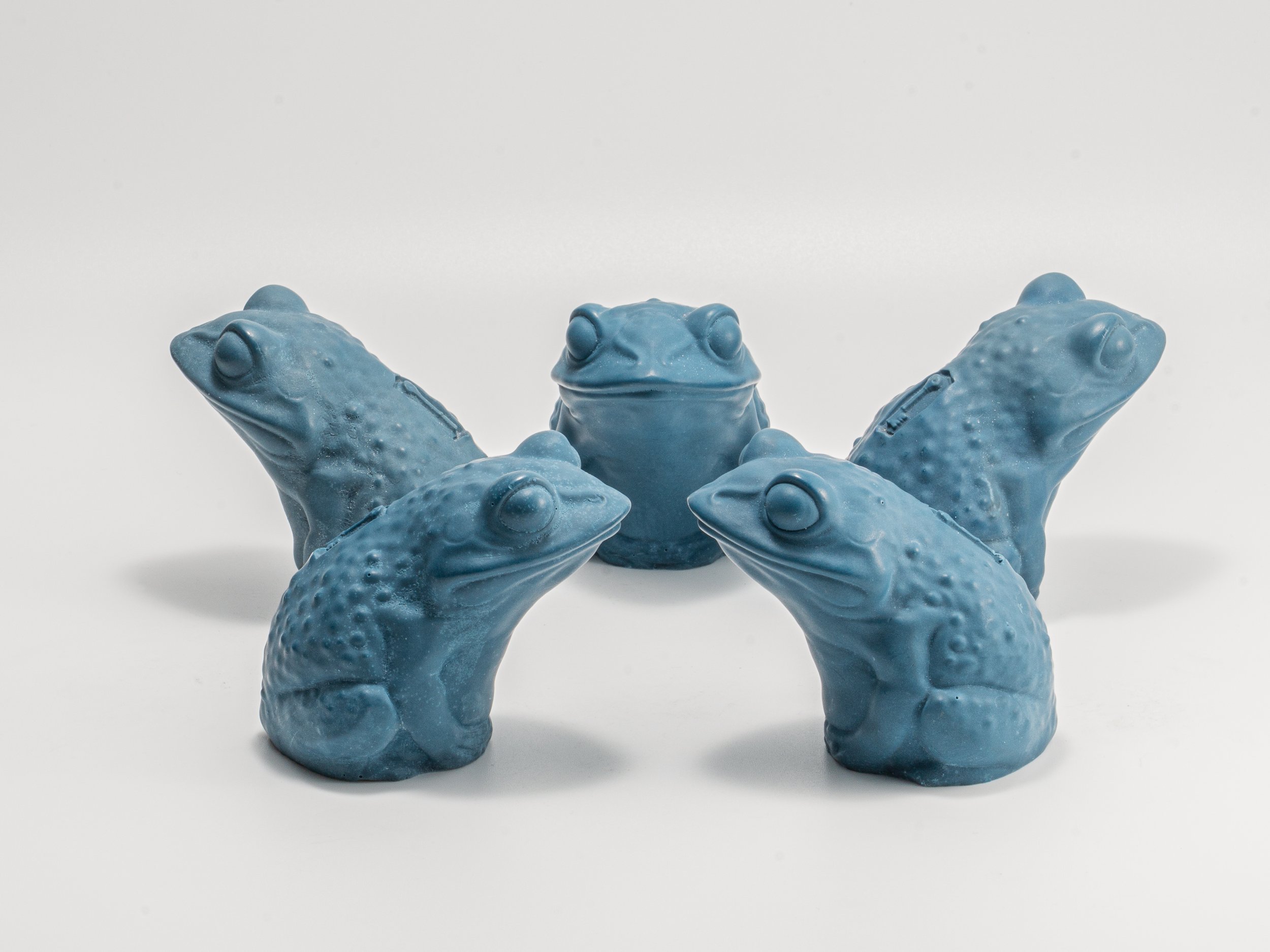 Toad blue d8-6.jpg
