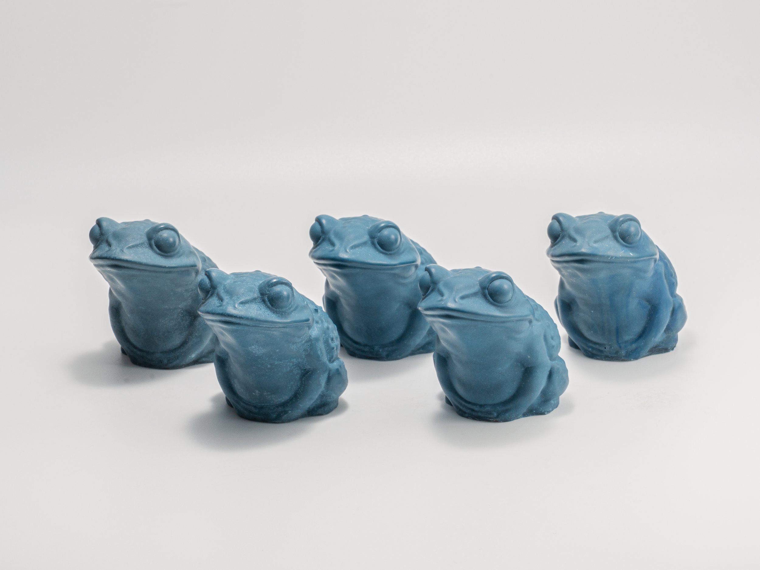 Toad blue d8-1.jpg