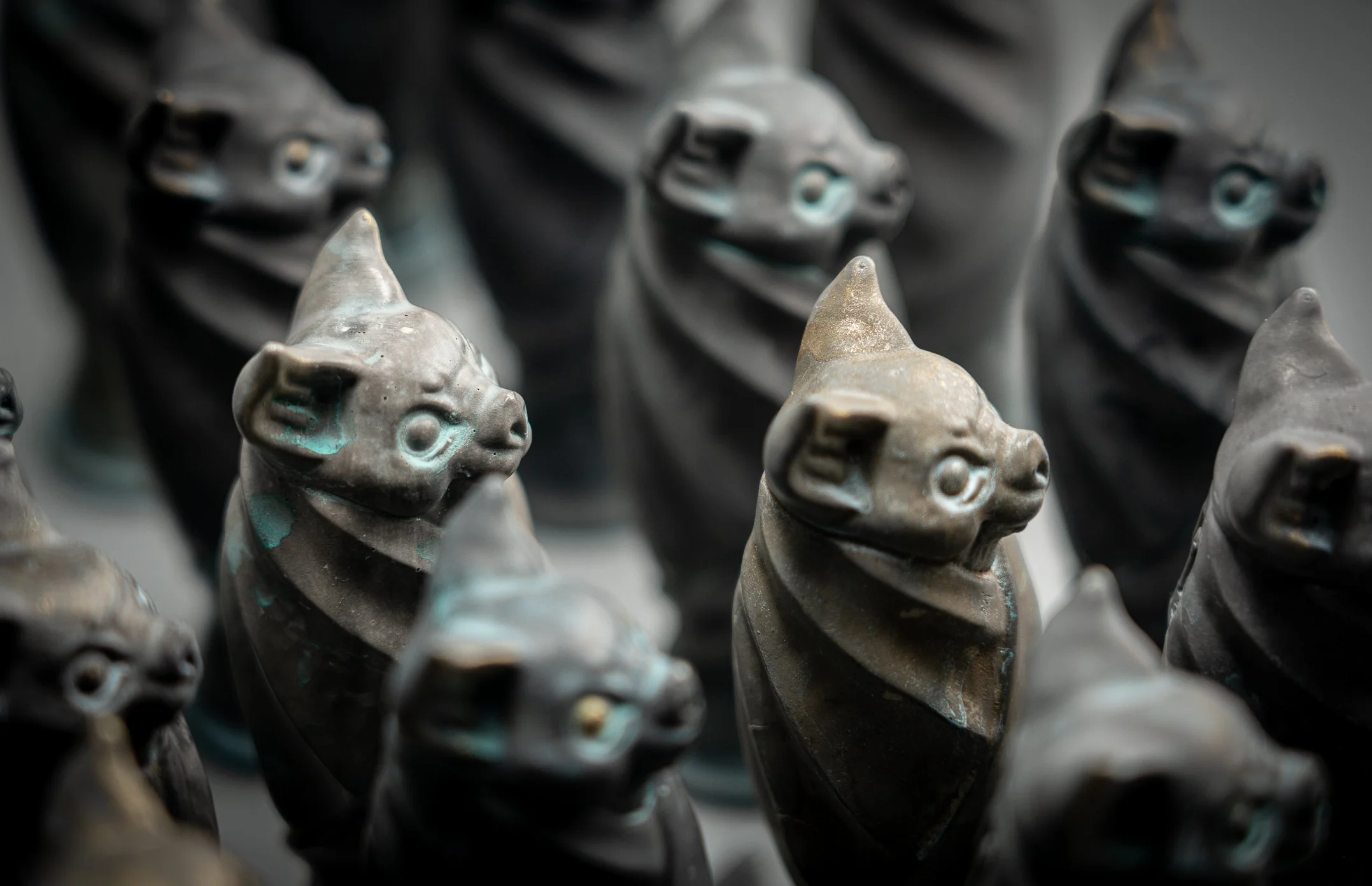 d3_steeple jacks-19.jpg