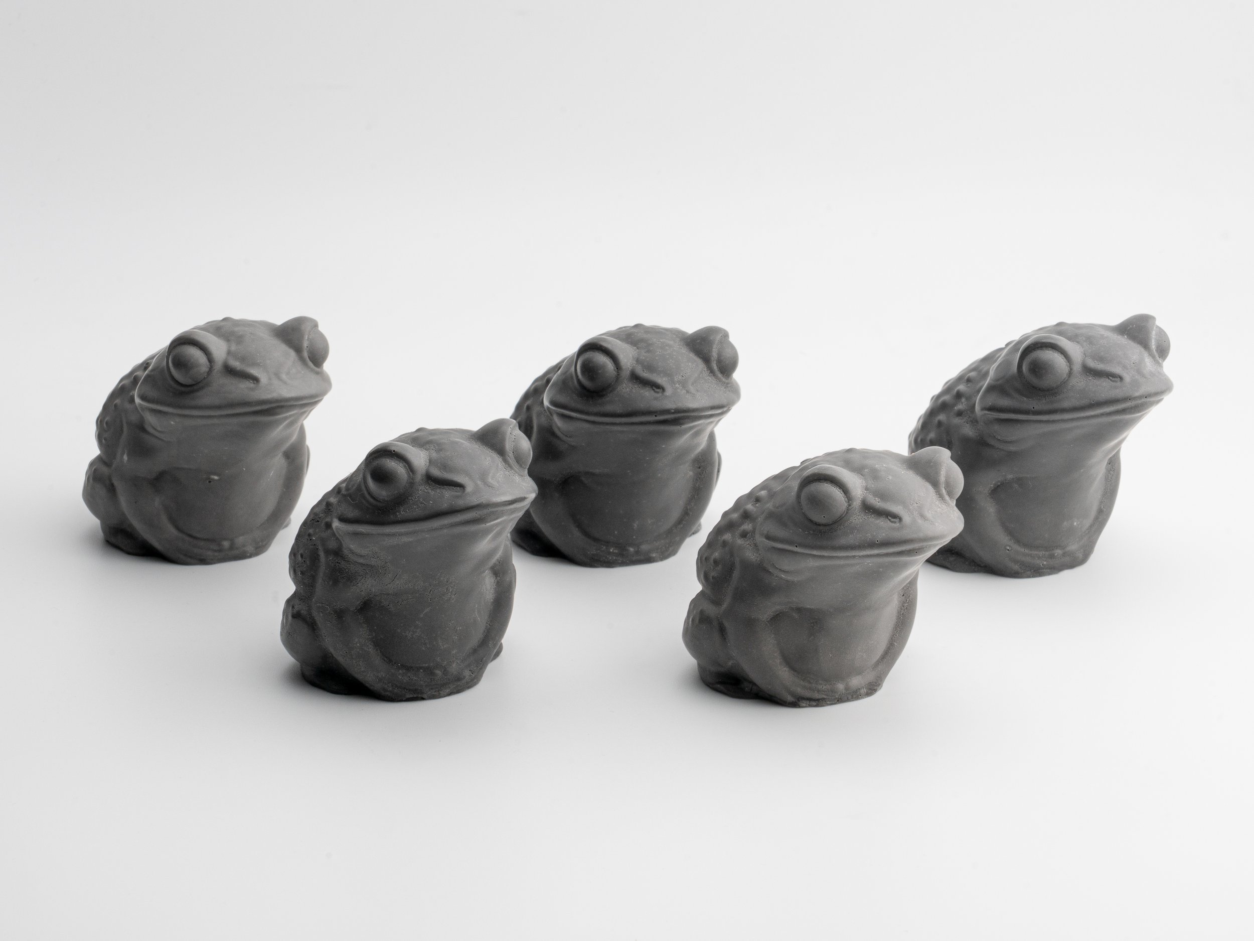 toad_shop black-1.jpg
