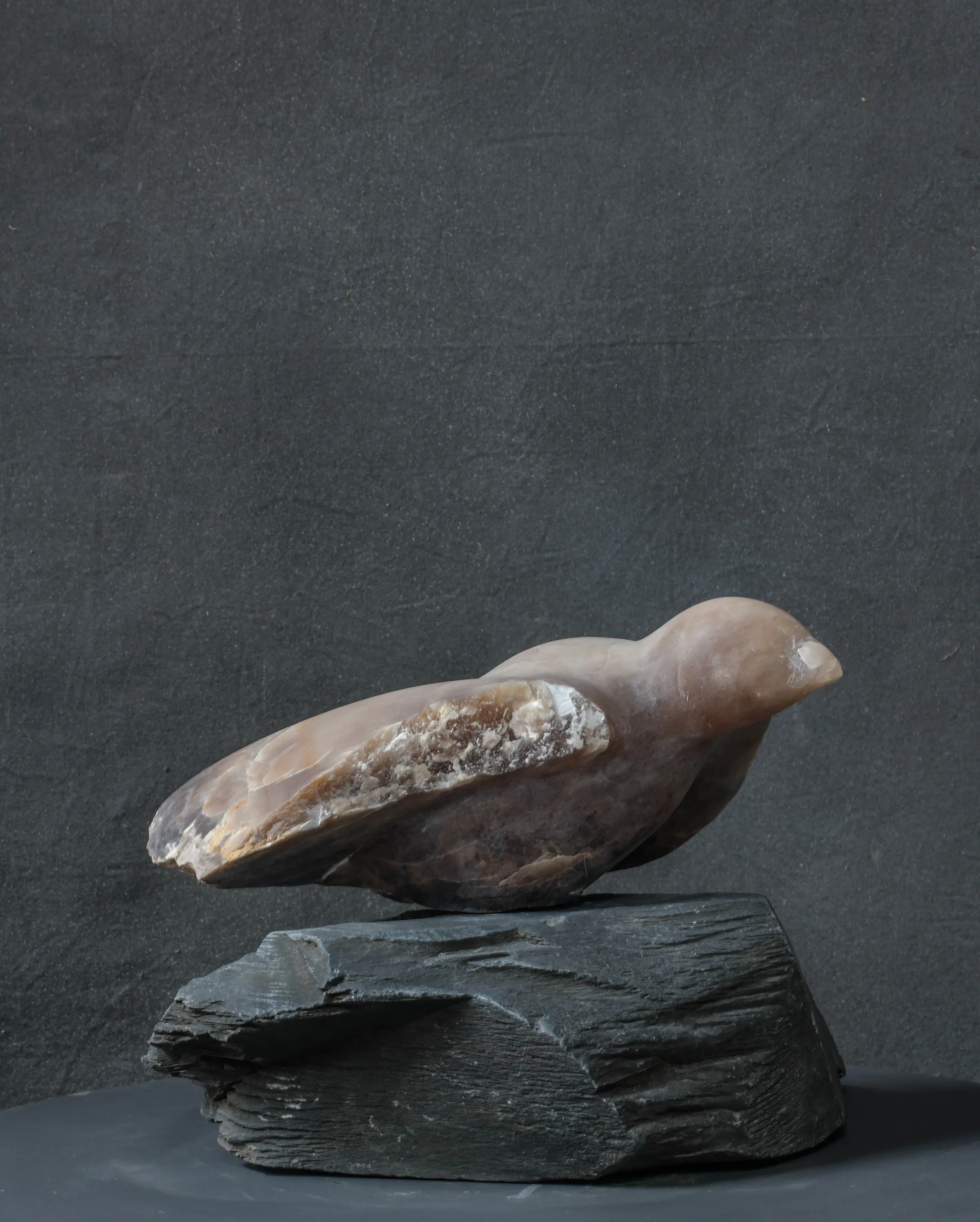 Tania Mosse Presteigne Open Studios