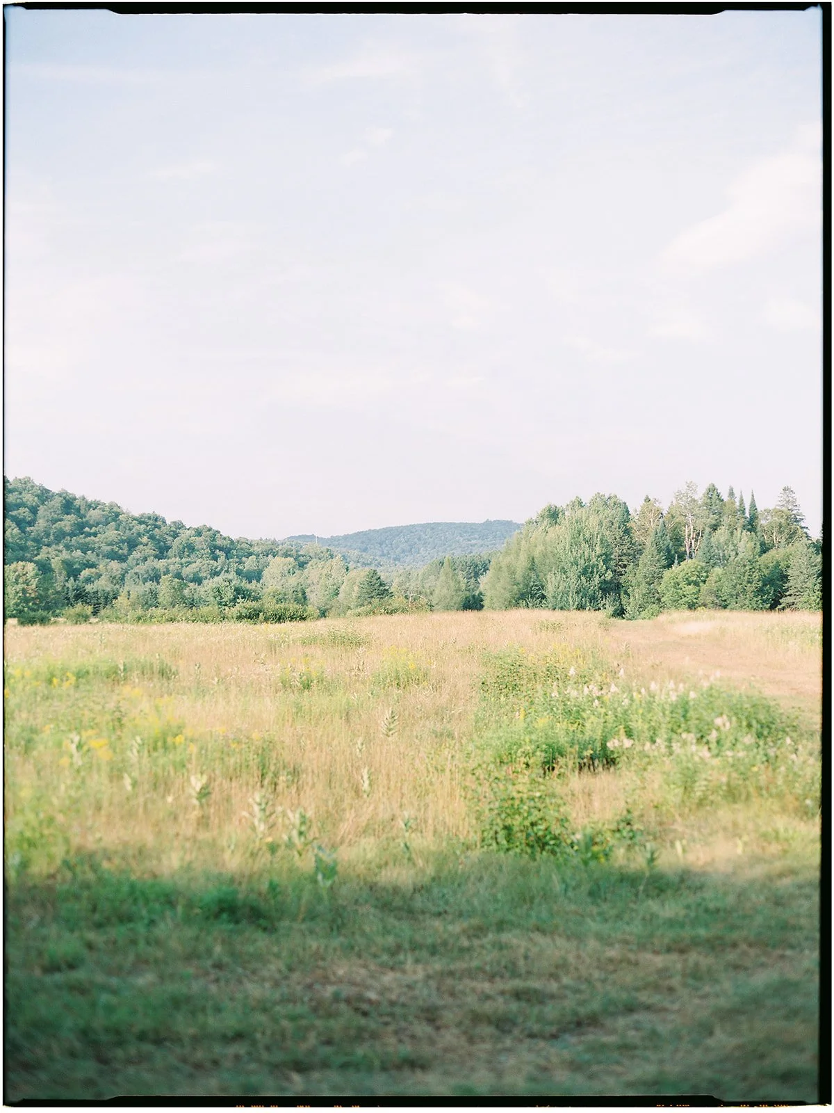 Katie & David -830.jpg