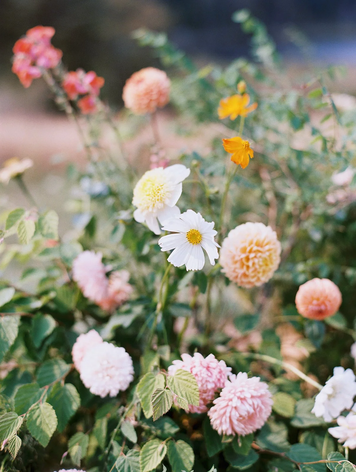 Grace & Zach -812.jpg