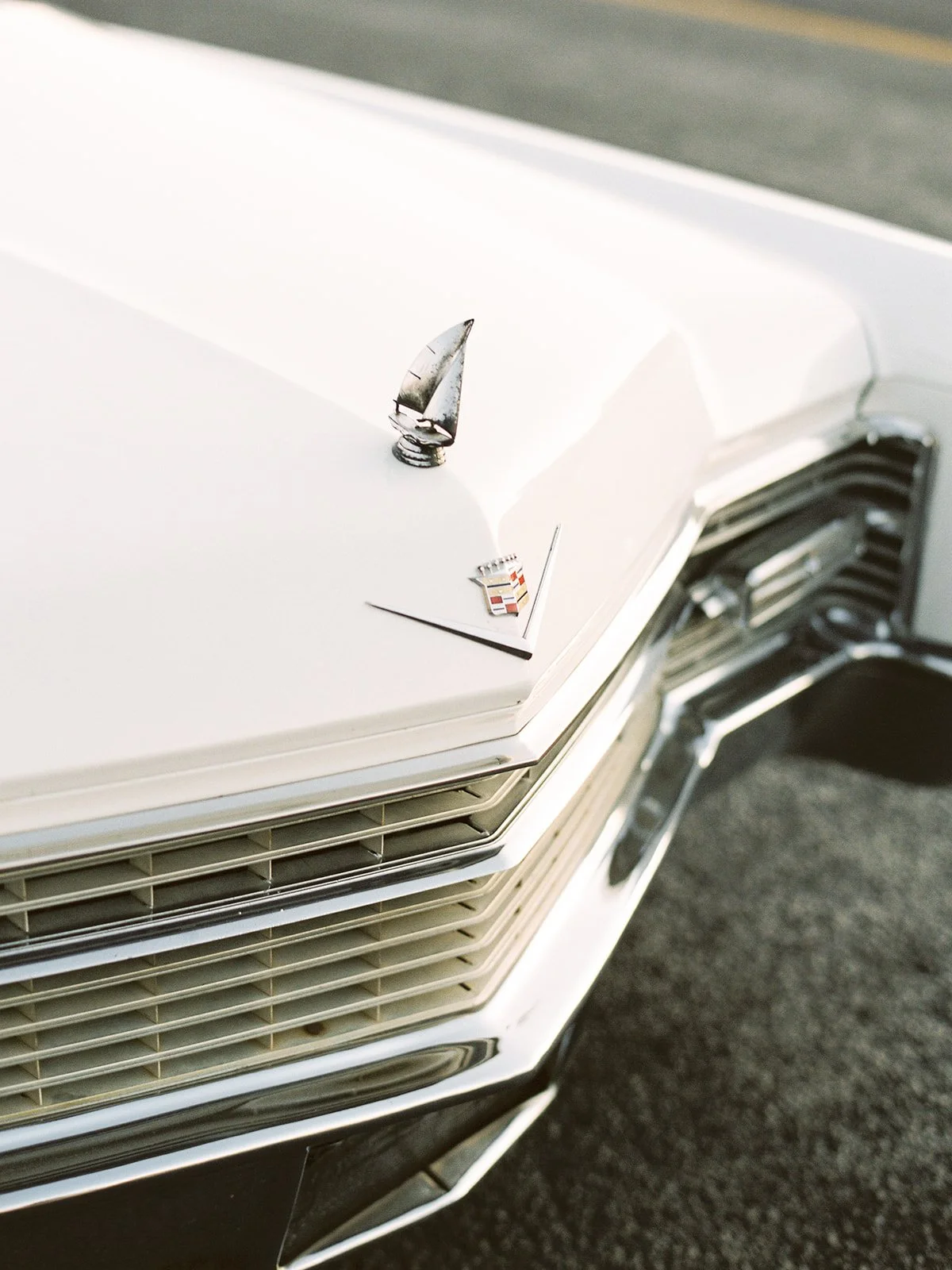 Annie & Jared-473.jpg