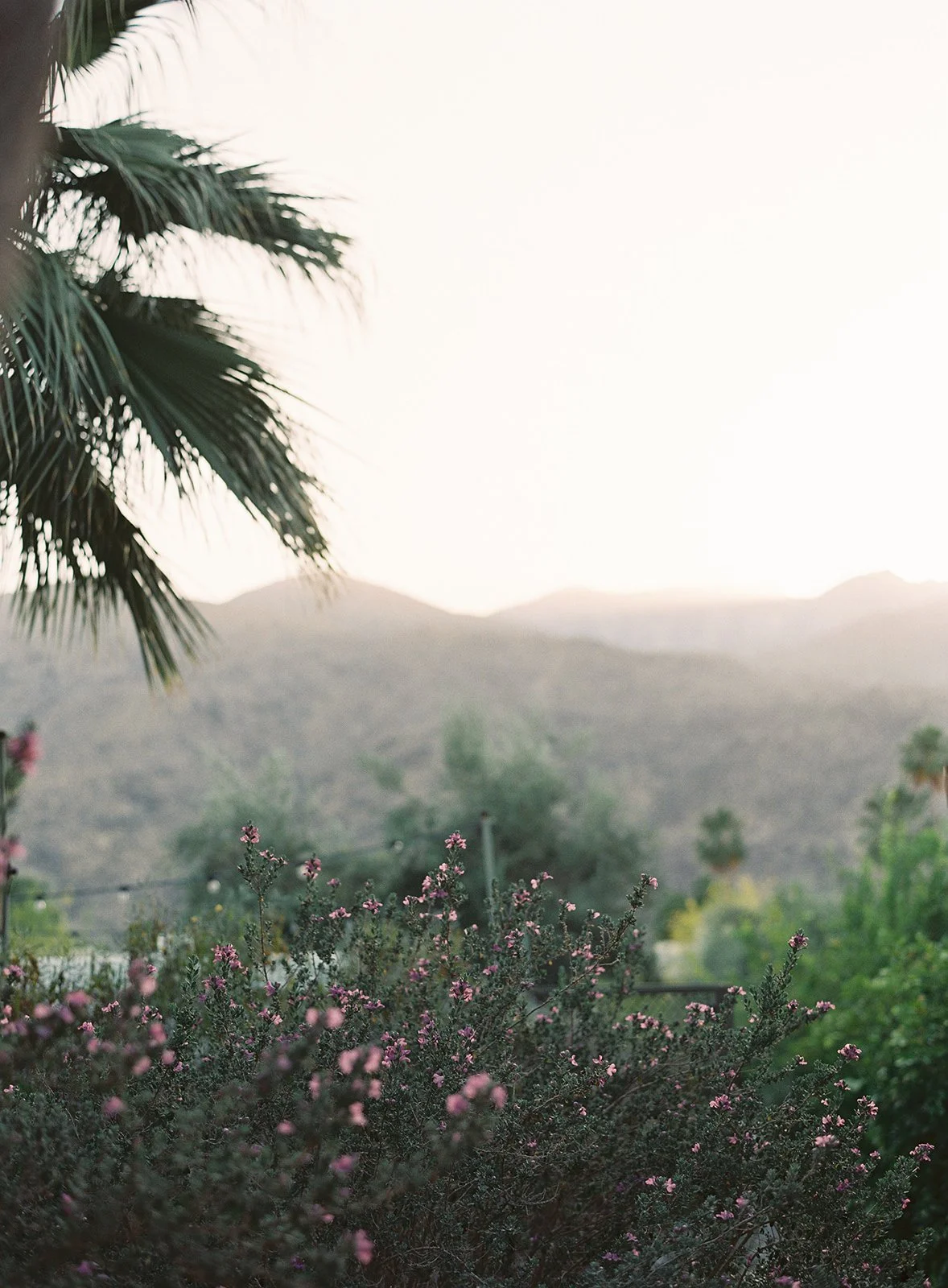 Shaugnessy & Kyle -184.jpg