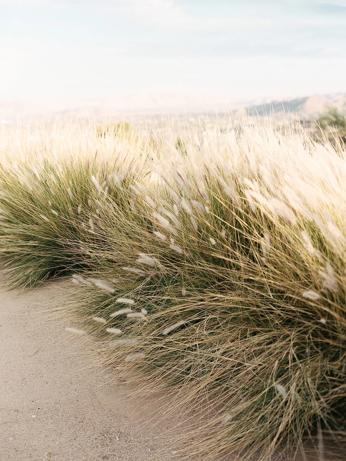 Annie & Jared-133.jpg