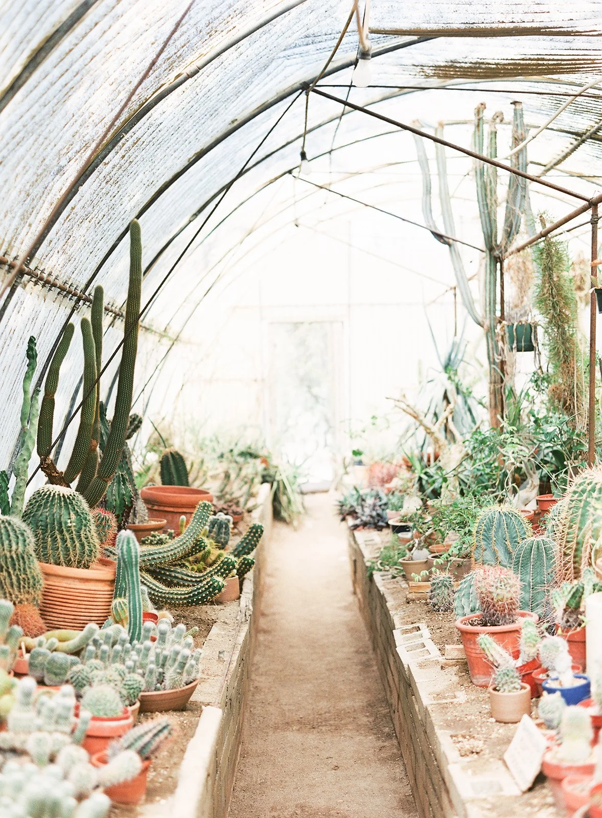 Shaugnessy & Kyle-494.jpg