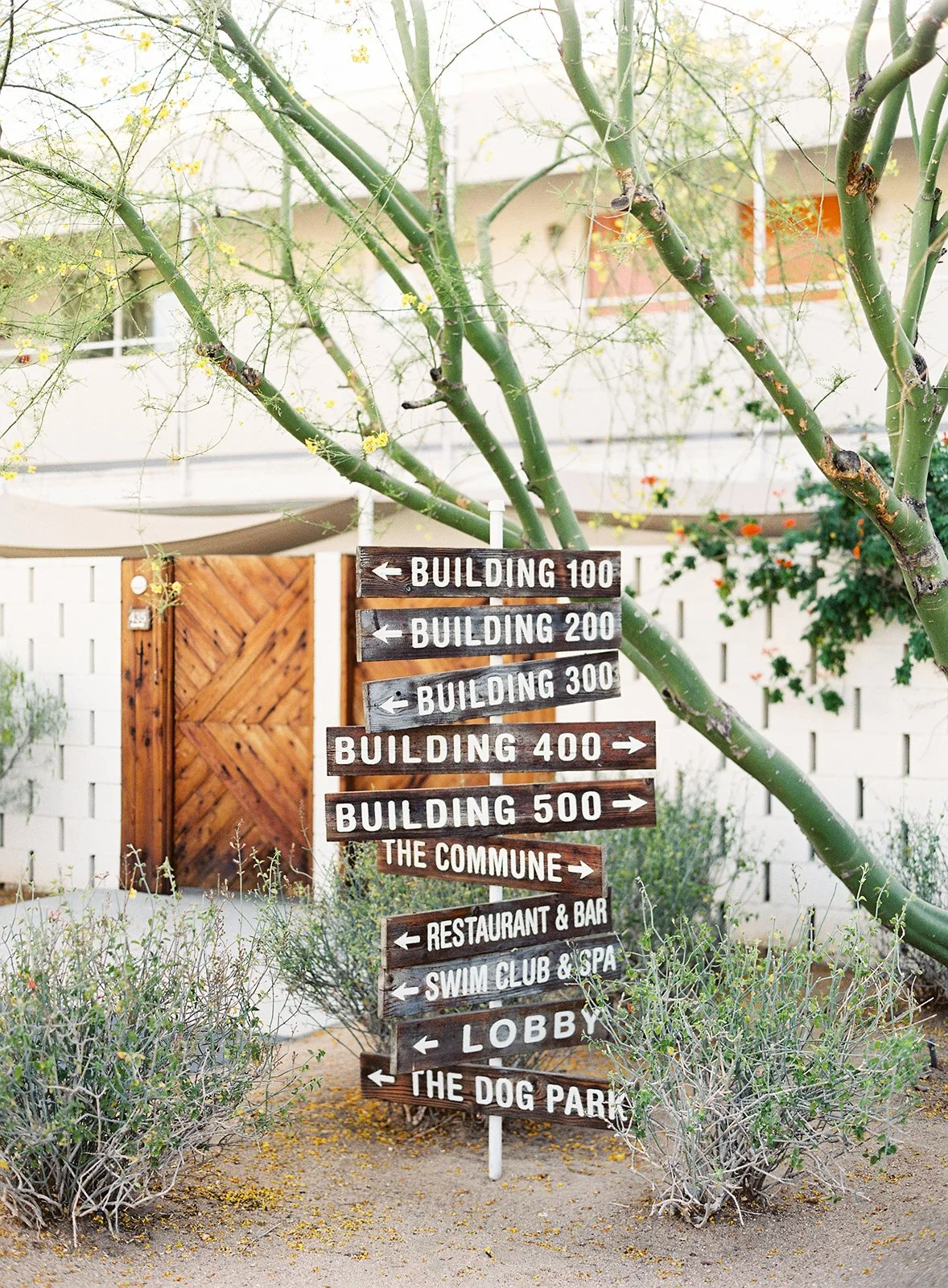 Shaugnessy & Kyle-492.jpg