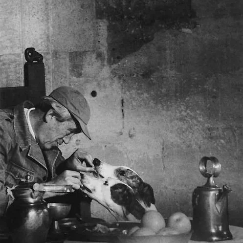 Top 20 des chiens préférés des Français et leurs pathologies: mieux vaut prévenir que guérir