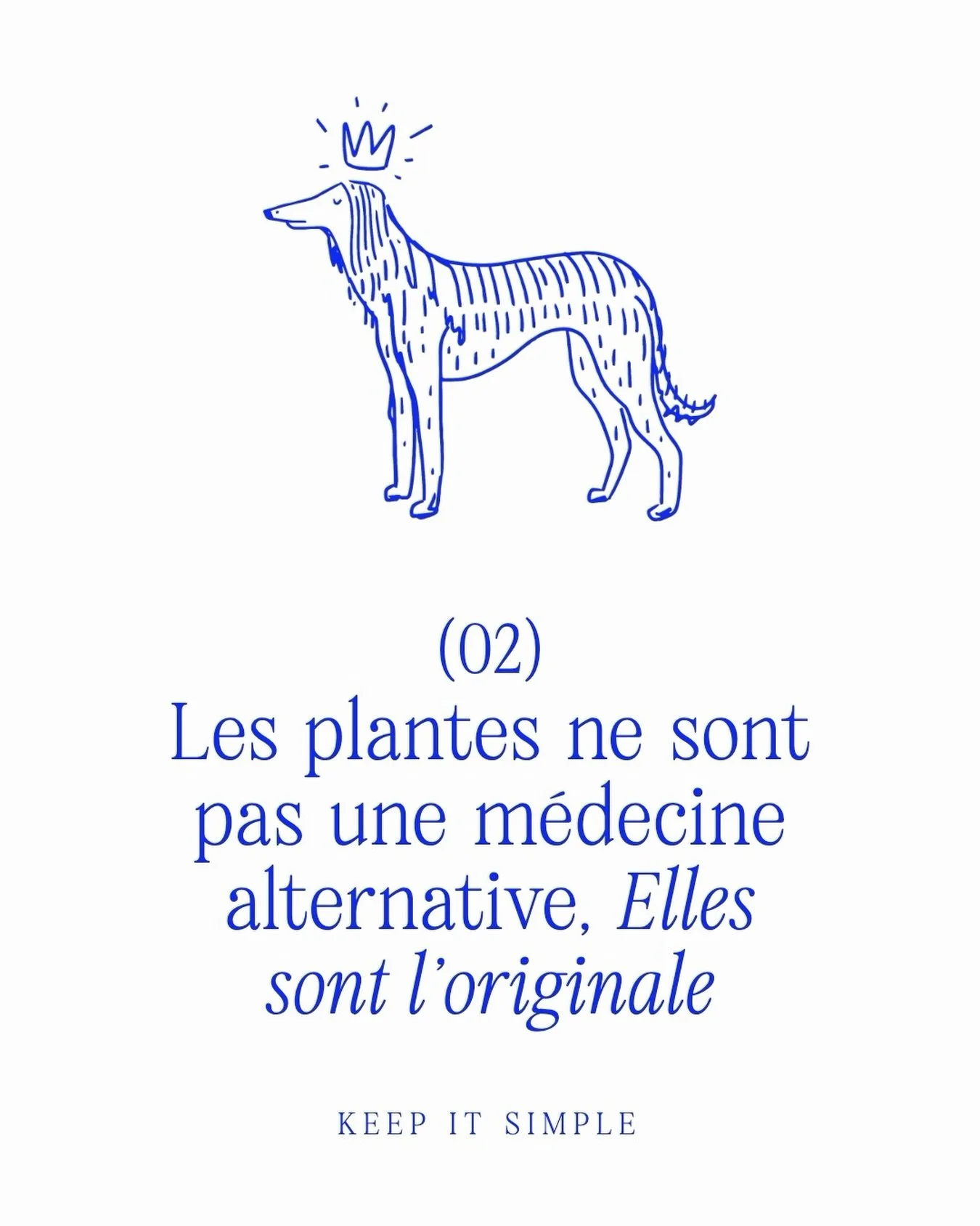 Les plantes ne sont pas une m&eacute;decine alternative, elles sont l&rsquo;originale.

Bien avant les mol&eacute;cules de synth&egrave;se, il y avait les plantes. La phytoth&eacute;rapie n&rsquo;est pas un suppl&eacute;ment au traitement de votre v&
