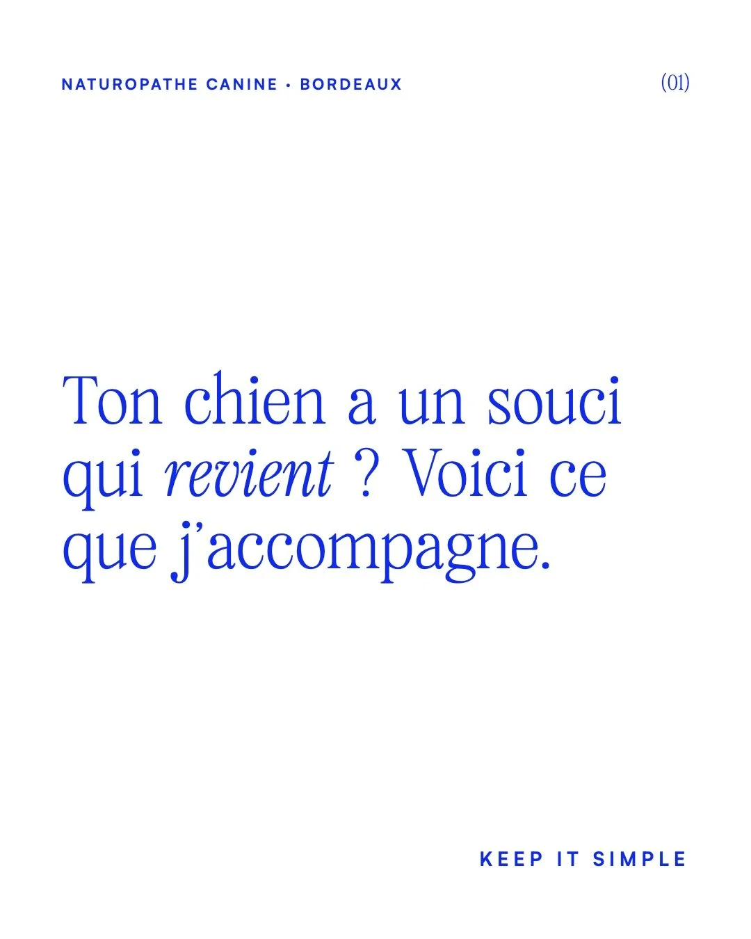 Ton chien a un souci qui revient ? 🐾

Quand &ccedil;a revient, on a souvent trait&eacute; ce qui se voit, pas ce qui l&rsquo;entretient.

Je suis naturopathe canine &agrave; Bordeaux. Je cherche la cause : alimentation, digestion, environnement, mod