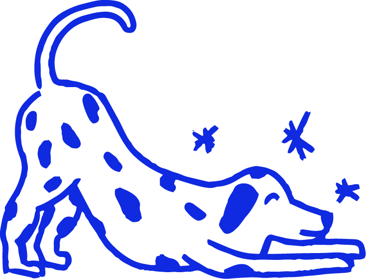 Logo d'une silhouette de crocodile bleu avec des étoiles autour, sur fond noir.
