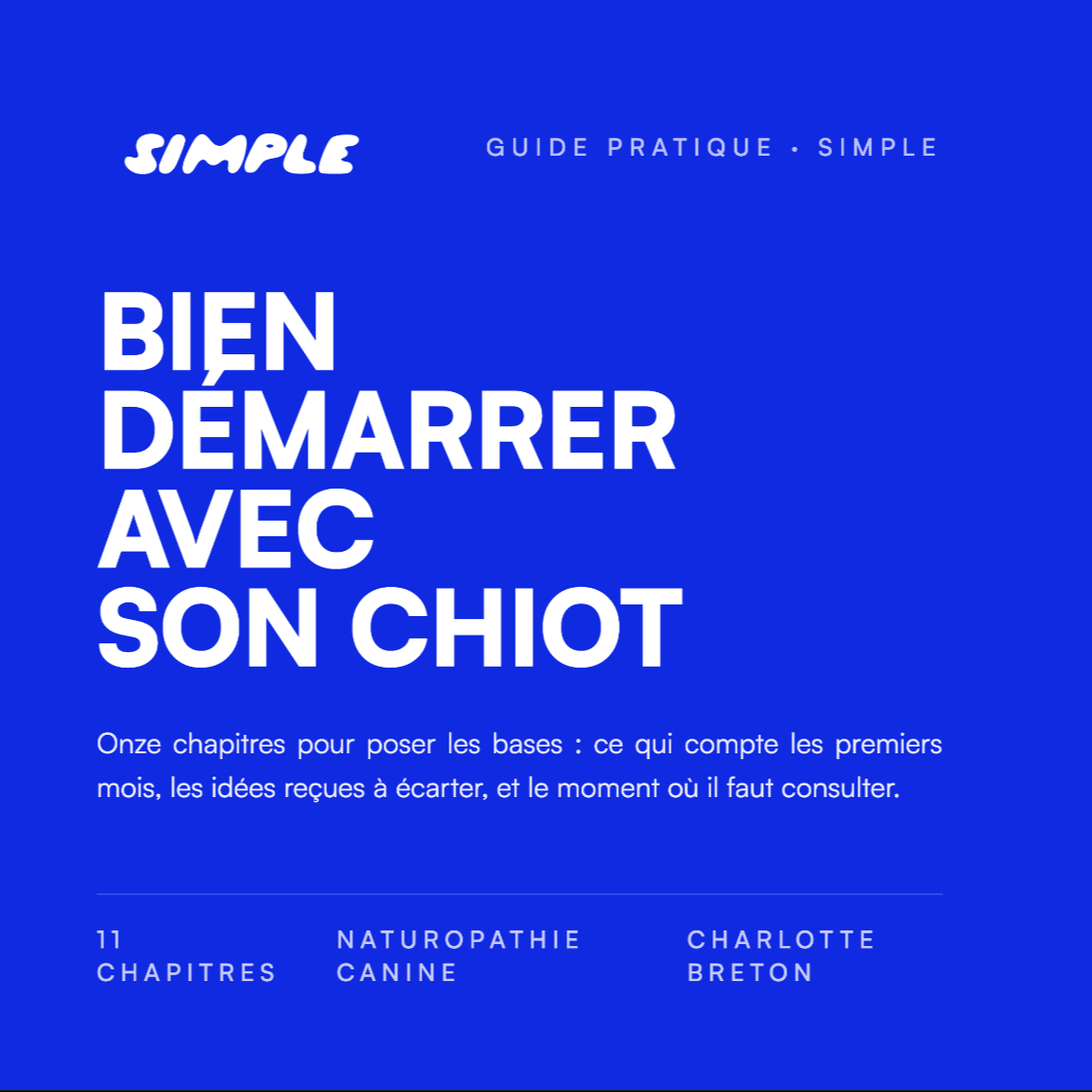 Bien démarrer avec un chiot