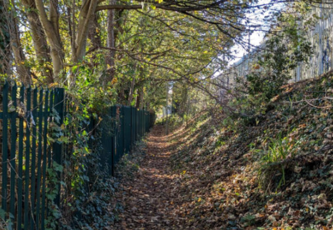 A narrow dirt path covered with fallen leaves, lined with a green fence and surrounded by trees and bushes in a natural outdoor setting.