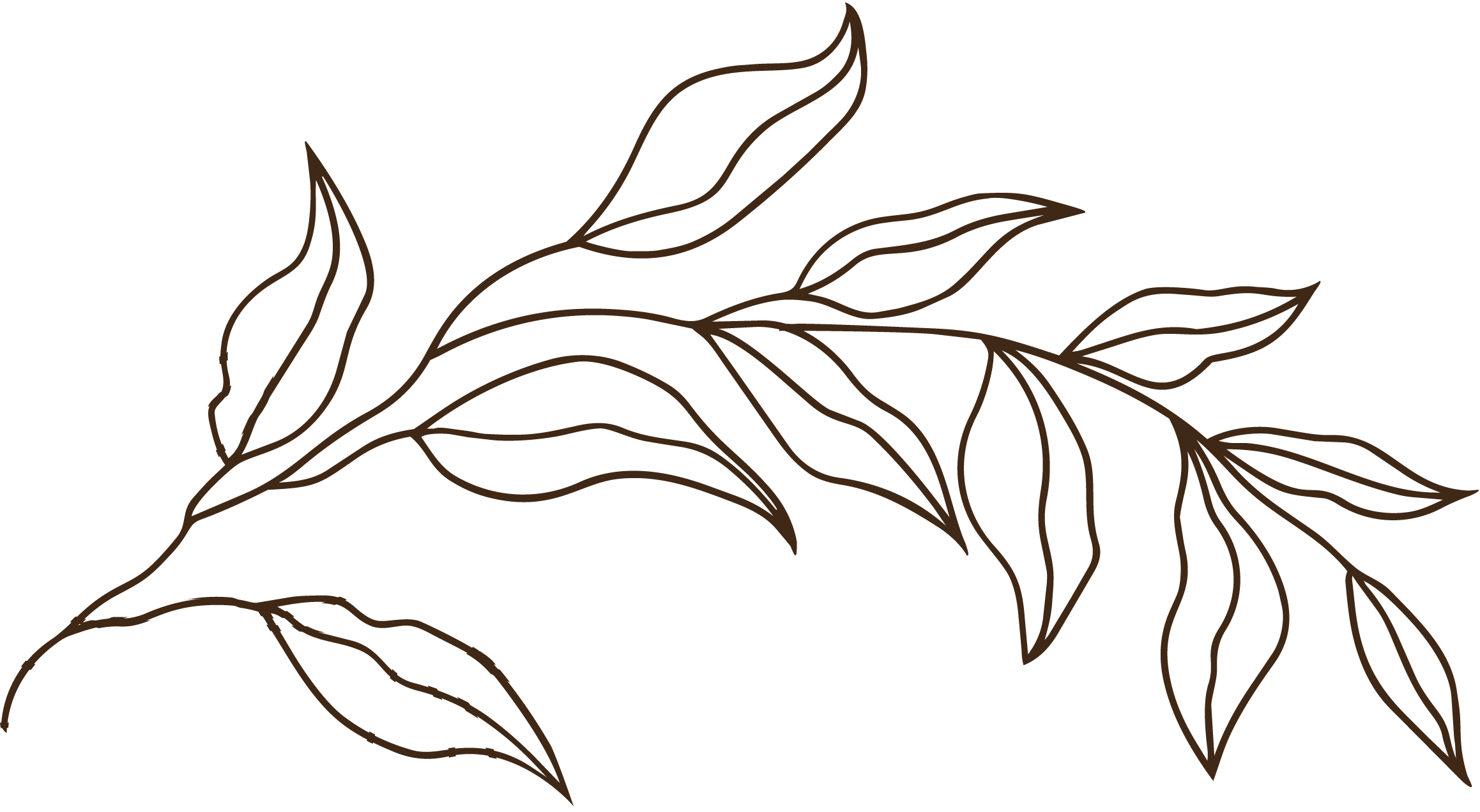 Line drawing of a plant or branch with leaves on a black background.