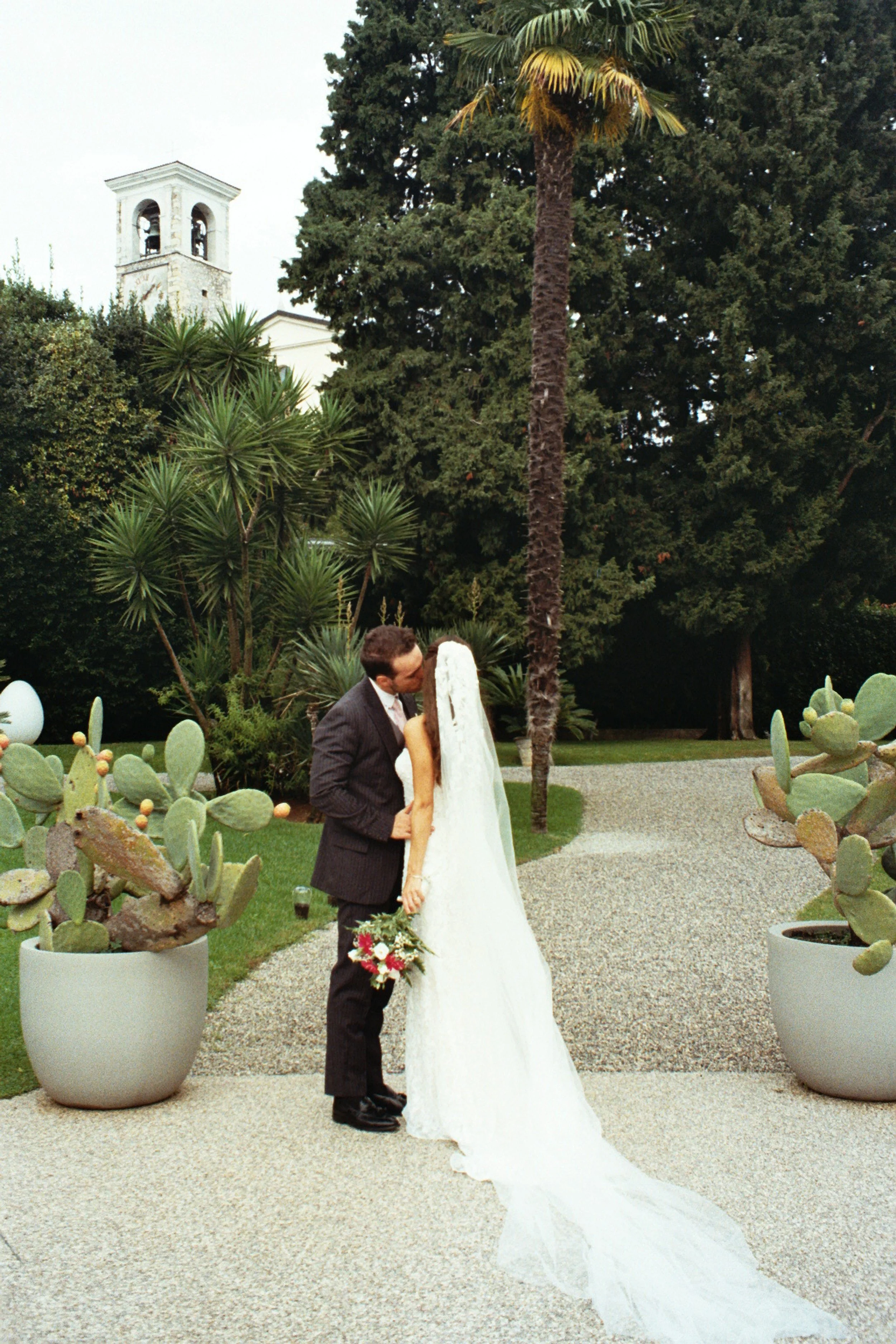 A bride and groom sharing a kiss outdoors near a tall palm tree, with potted cacti and lush greenery around them.