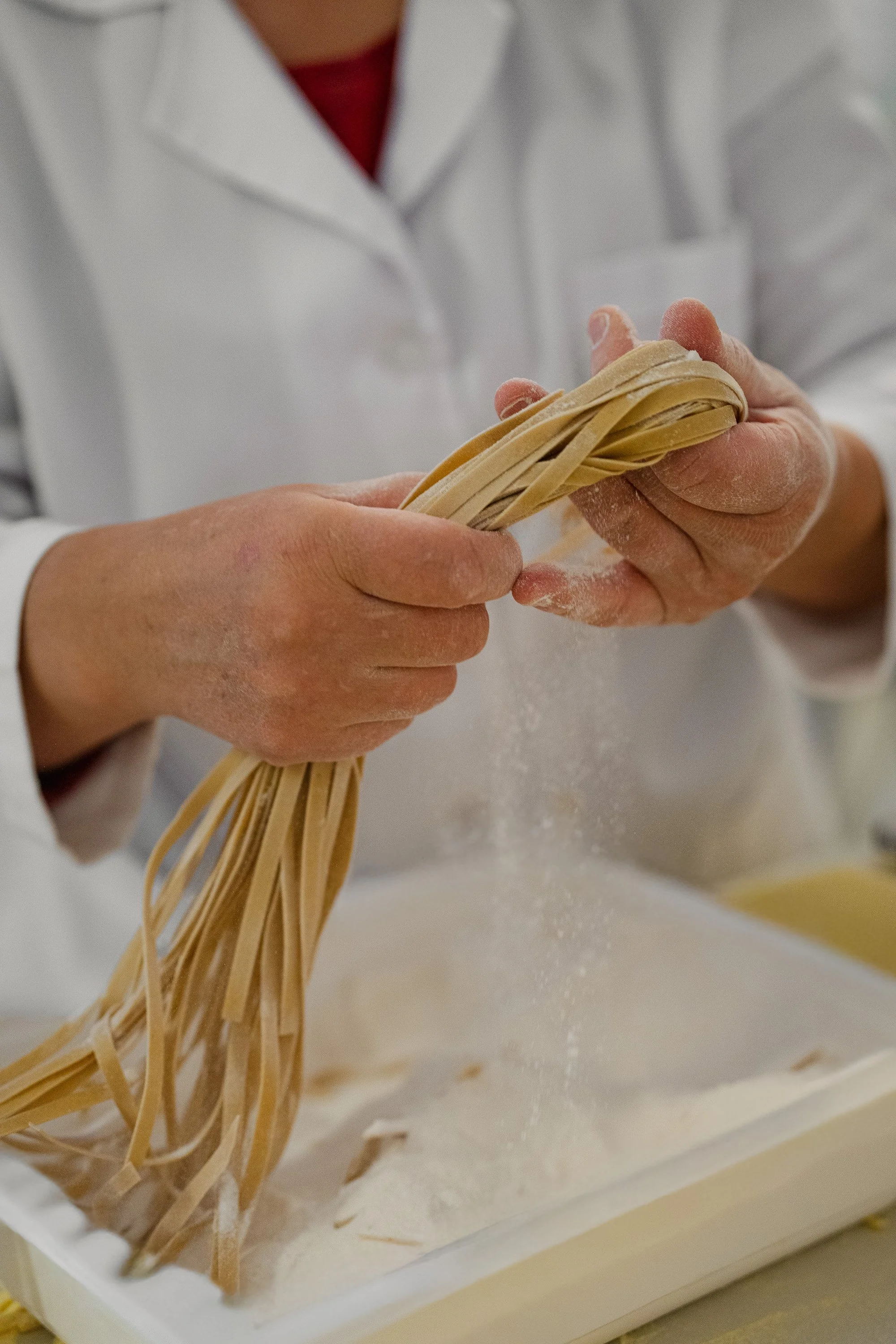 mani che lavorano la pasta, tagliatelle per ristorante, catalogo