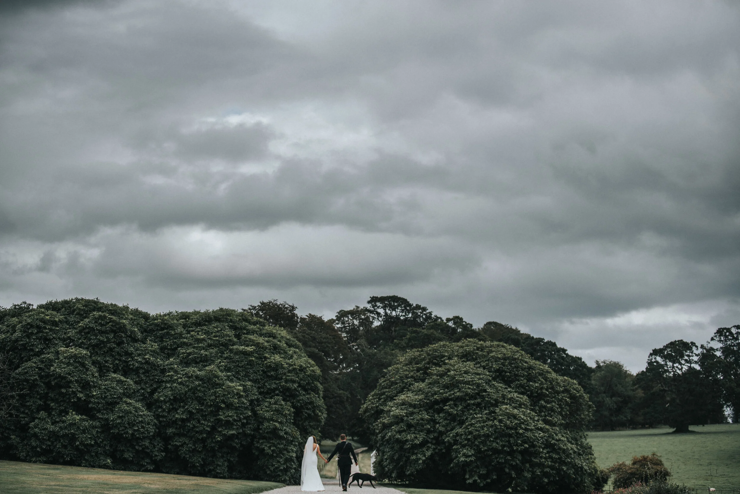 A bride and groom walking hand in hand with a dog in a park on a cloudy day surrounded by green trees.