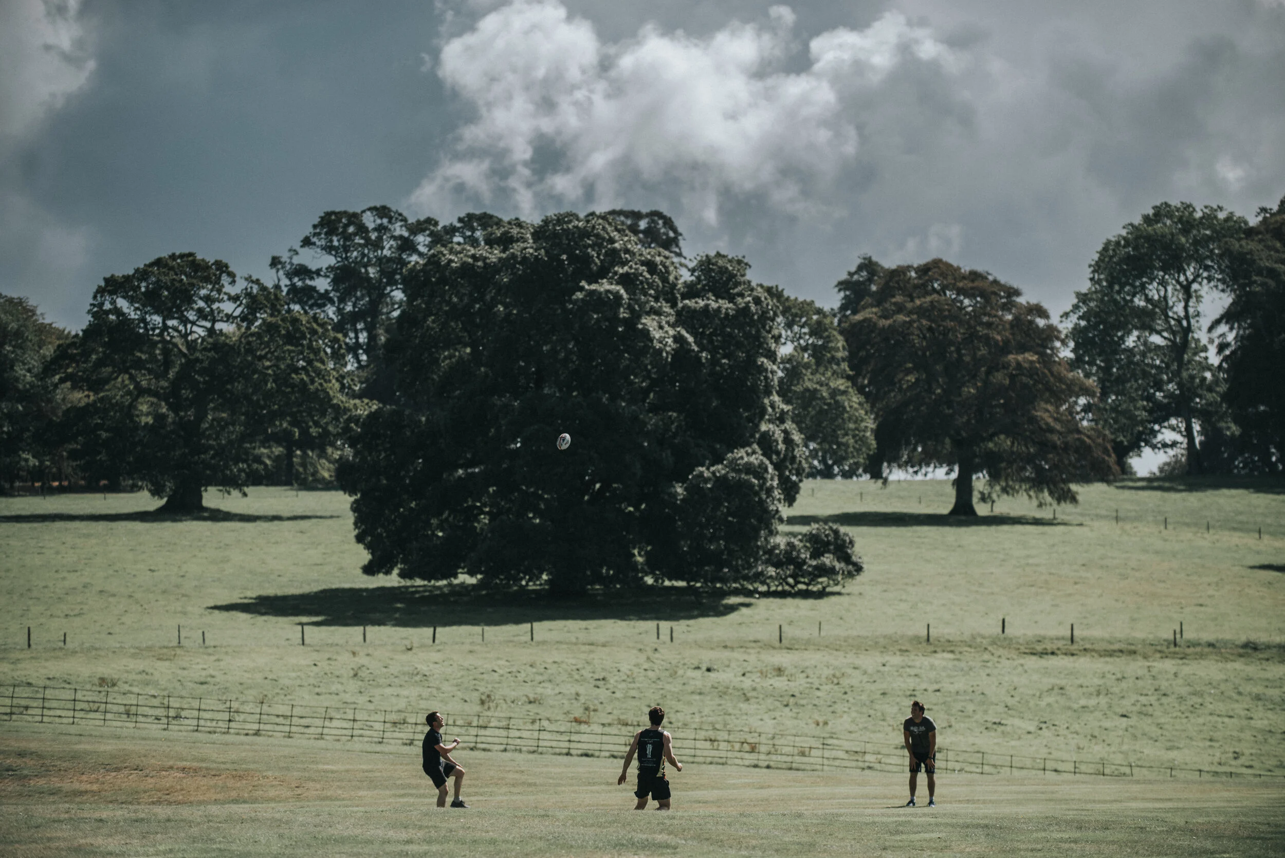 Three children playing with a ball on a grassy field, with large trees and a cloudy sky in the background.