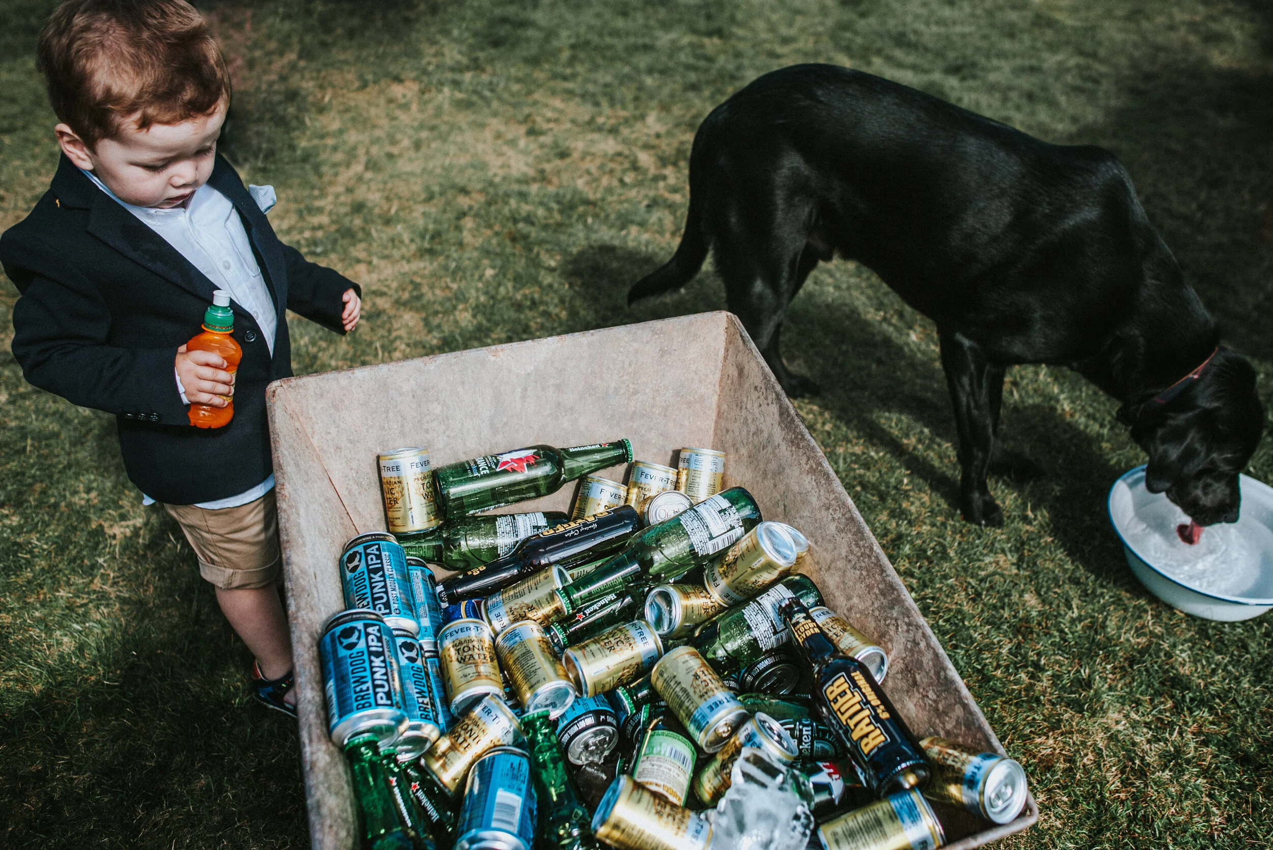 A young boy in a black blazer and khaki shorts standing by a wheelbarrow filled with empty beer bottles and cans, with an older black dog drinking from a bowl nearby on a grassy area.