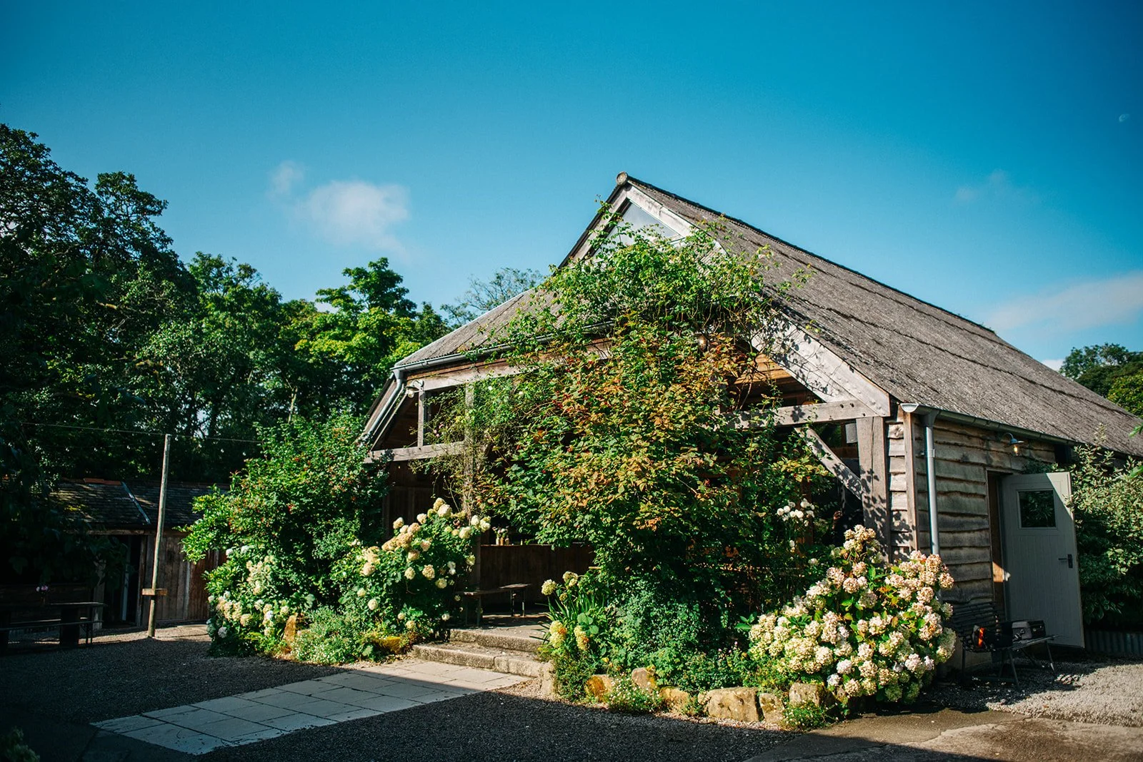 A rustic wooden house with a steep gabled roof, surrounded by lush flowering bushes and greenery, under a clear blue sky.