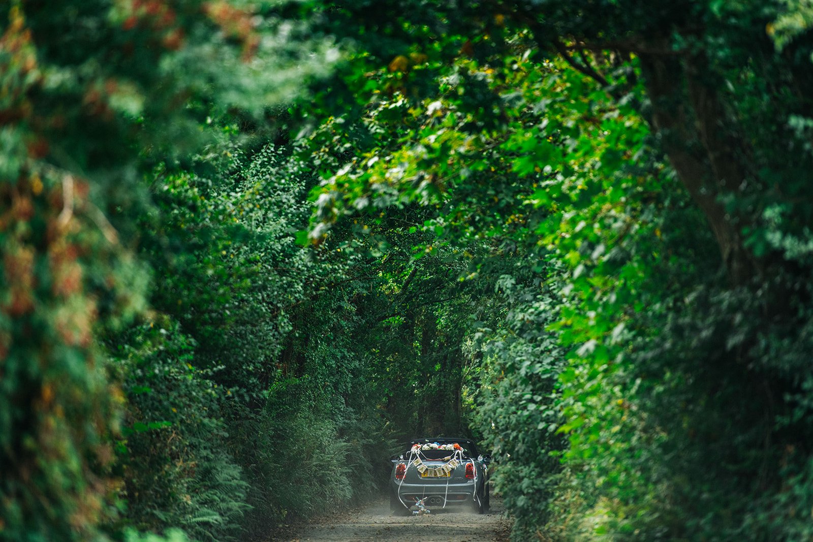 A car decorated with flowers and a banner, parked on a dirt path surrounded by dense green trees forming a natural archway.