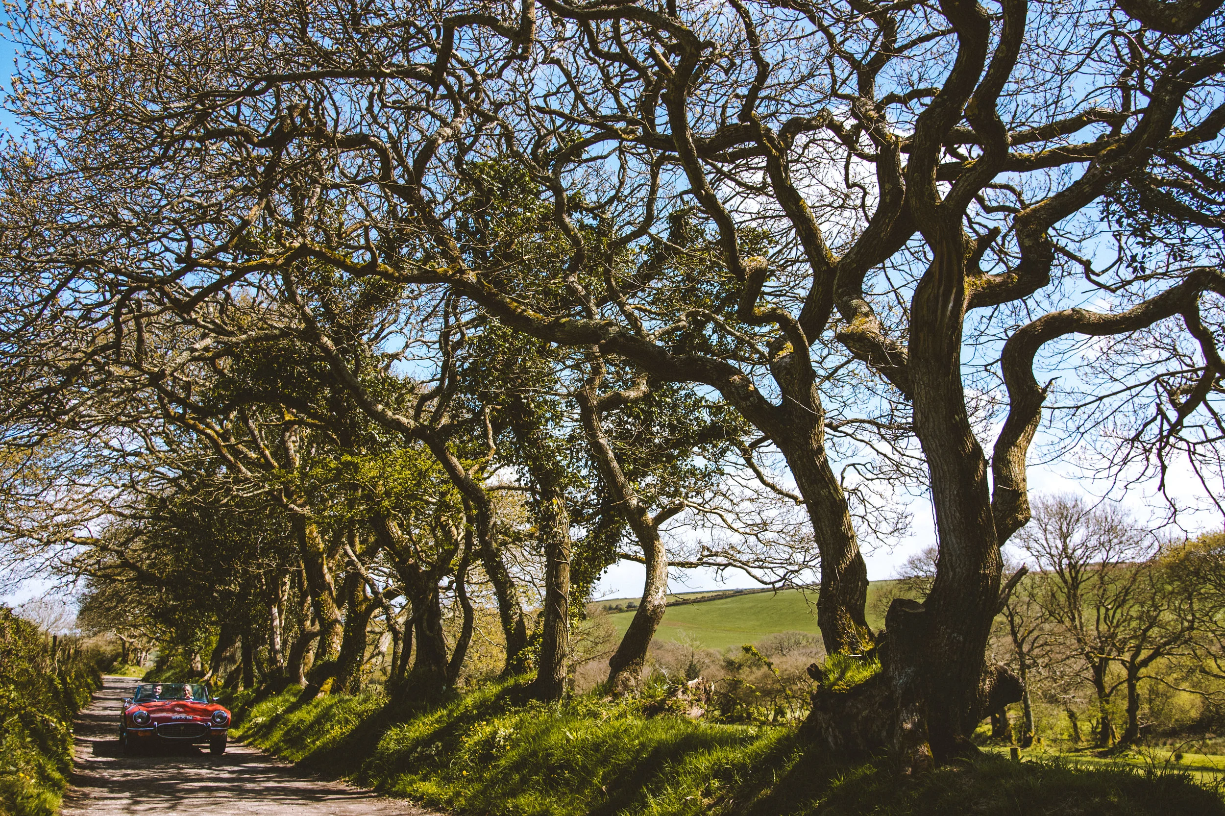 A vintage red convertible car driving on a narrow country road lined with large, leafless trees under a clear blue sky.