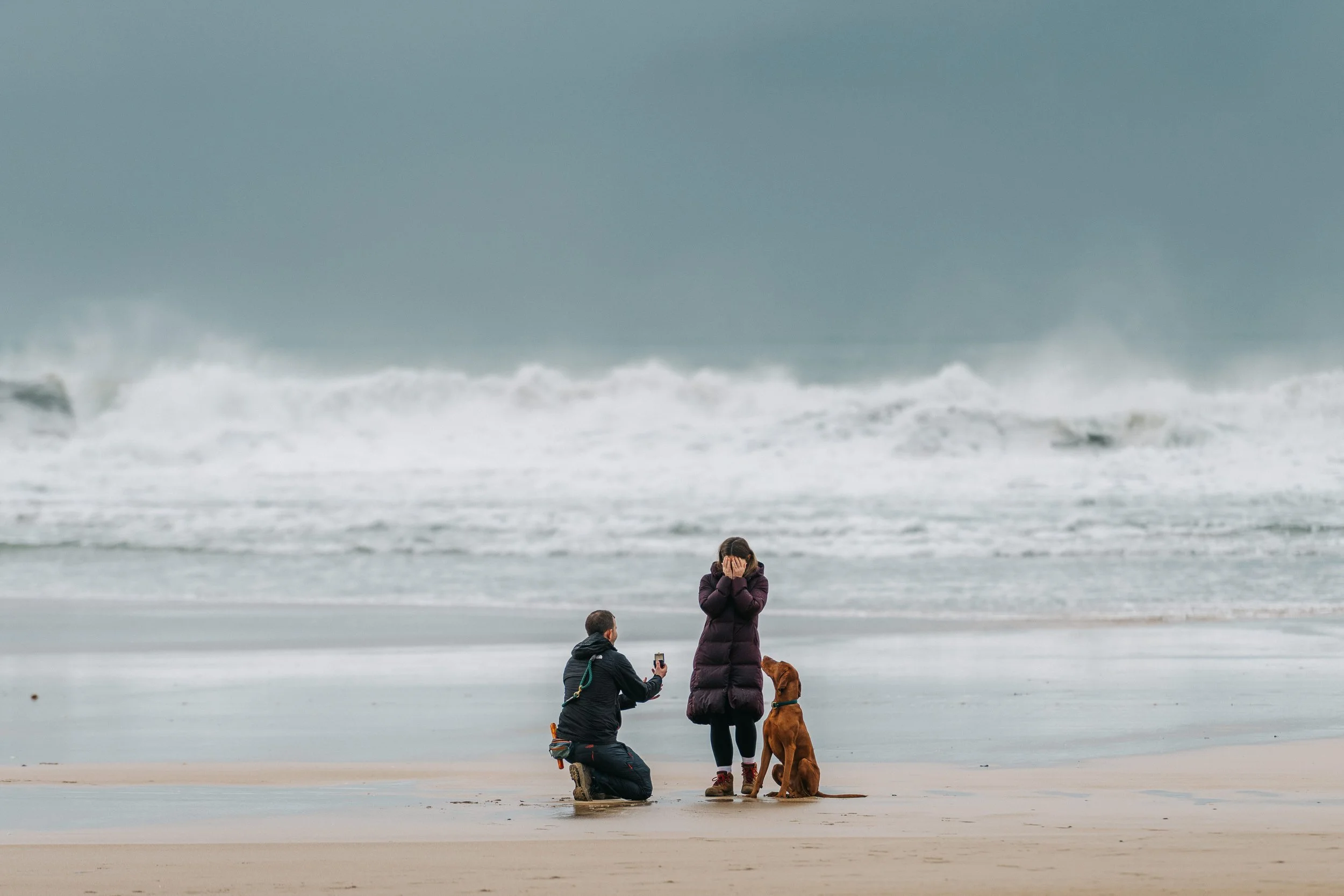 Engagement Proposal With Dog, Cornwall