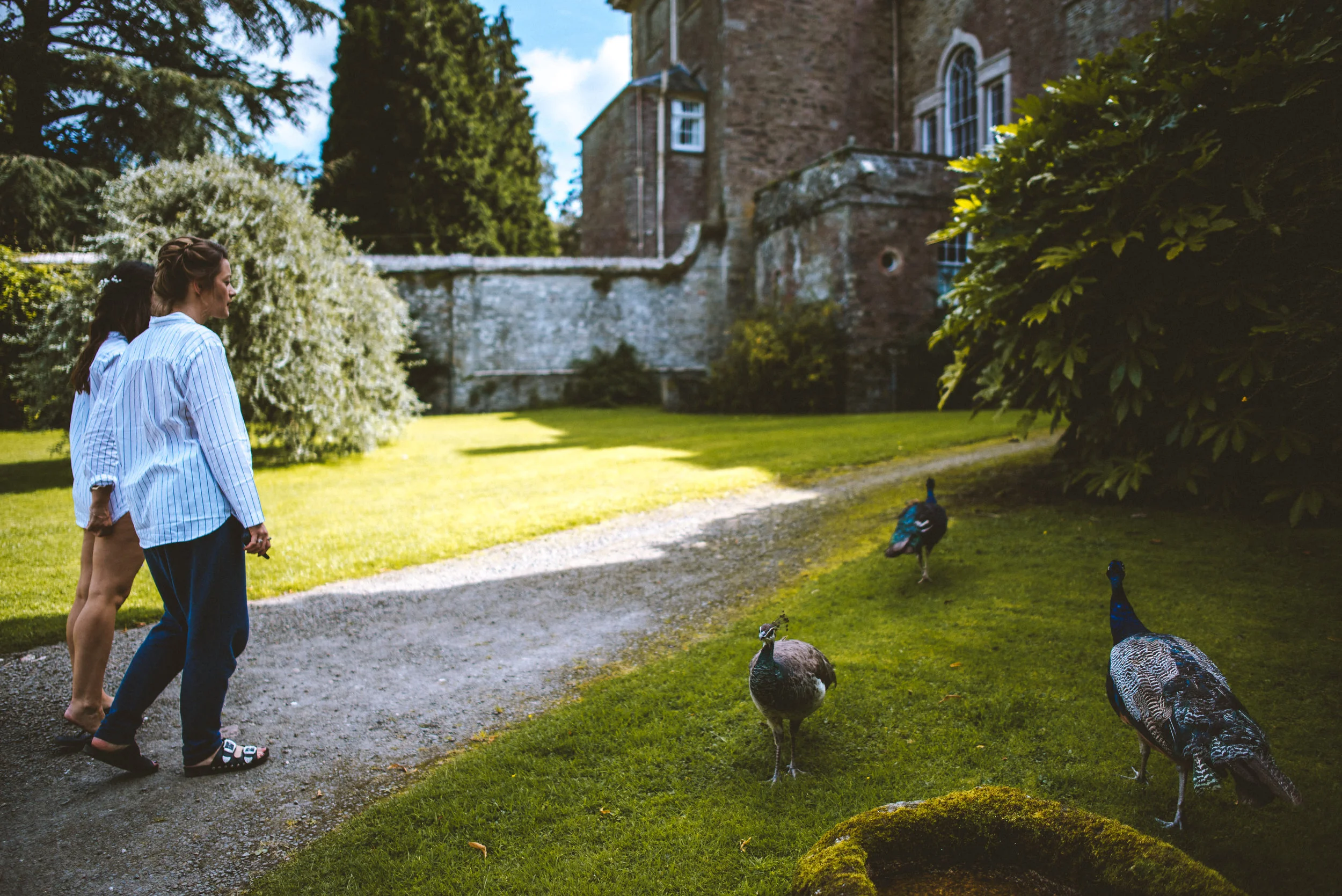Three women observing peacocks on a lawn outside a historic stone building on a sunny day.