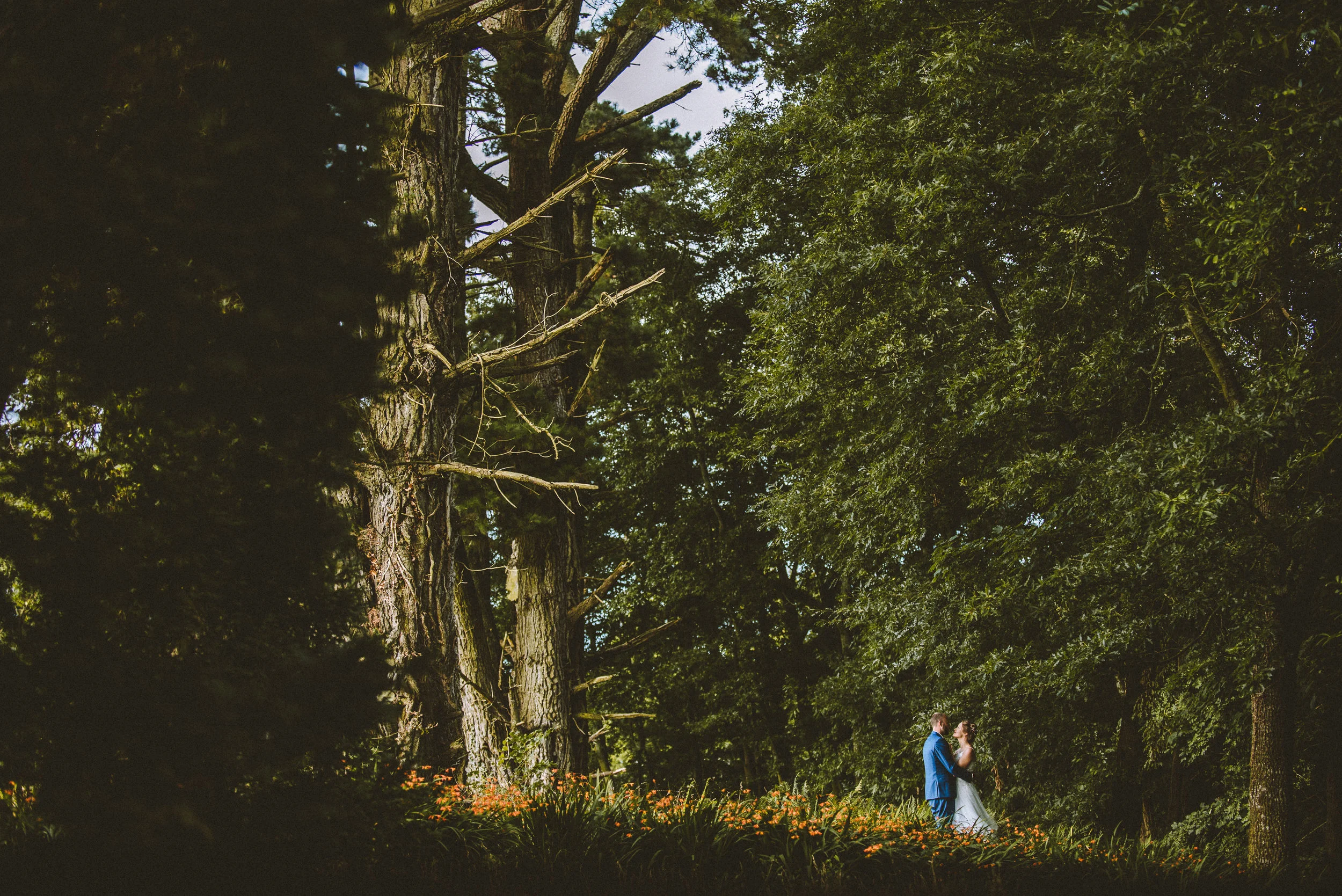 A bride and groom standing close together, holding hands, in a lush green outdoor setting surrounded by trees and flowers.