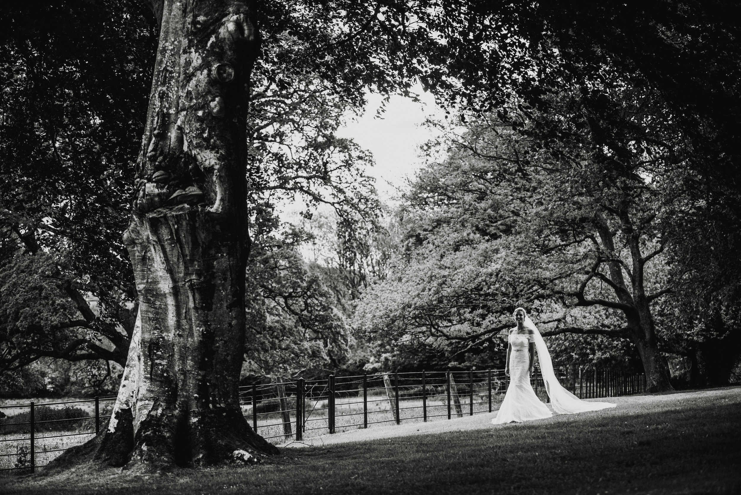 A bride in a wedding dress and veil standing alone outdoors in a park-like setting with large trees and a fence nearby.
