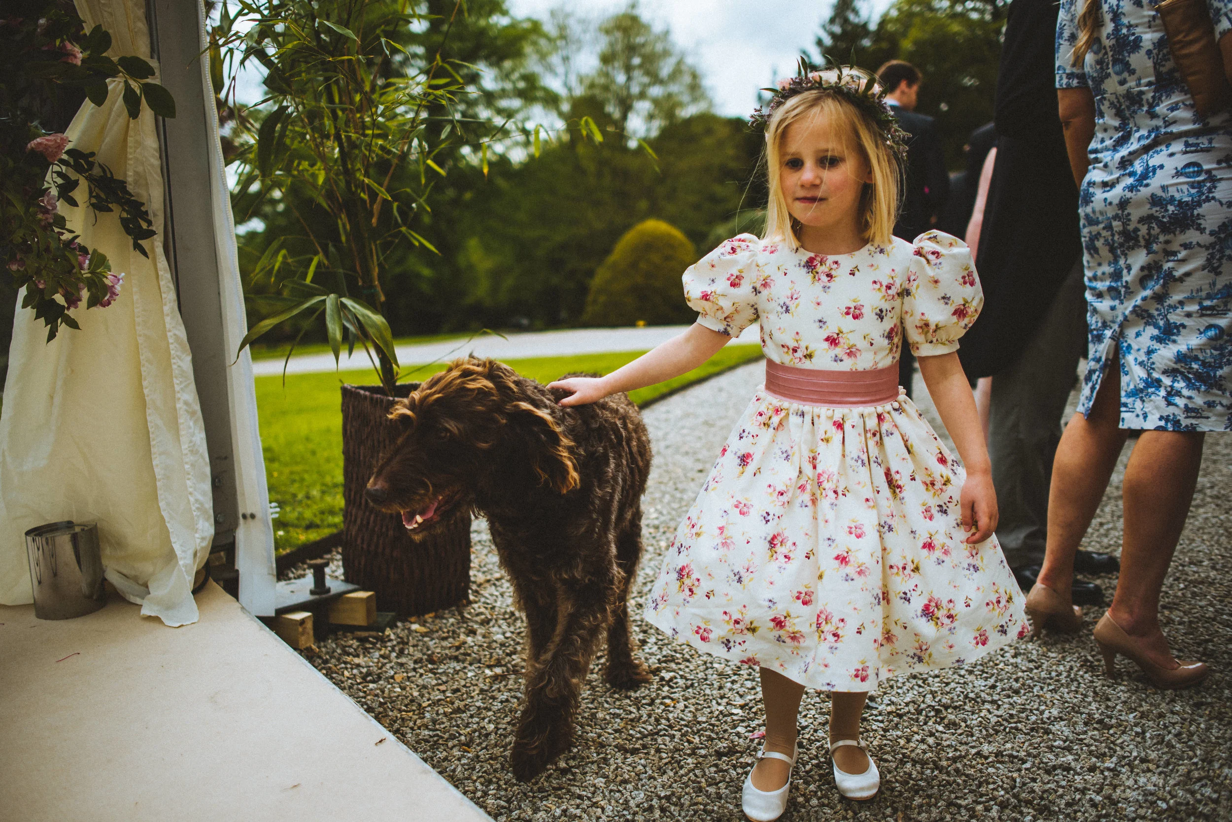 A young girl in a floral dress with puffed sleeves and puffed skirt, wearing a flower crown and touching a brown curly-coated dog at an outdoor event, with adults in the background near a gravel path.