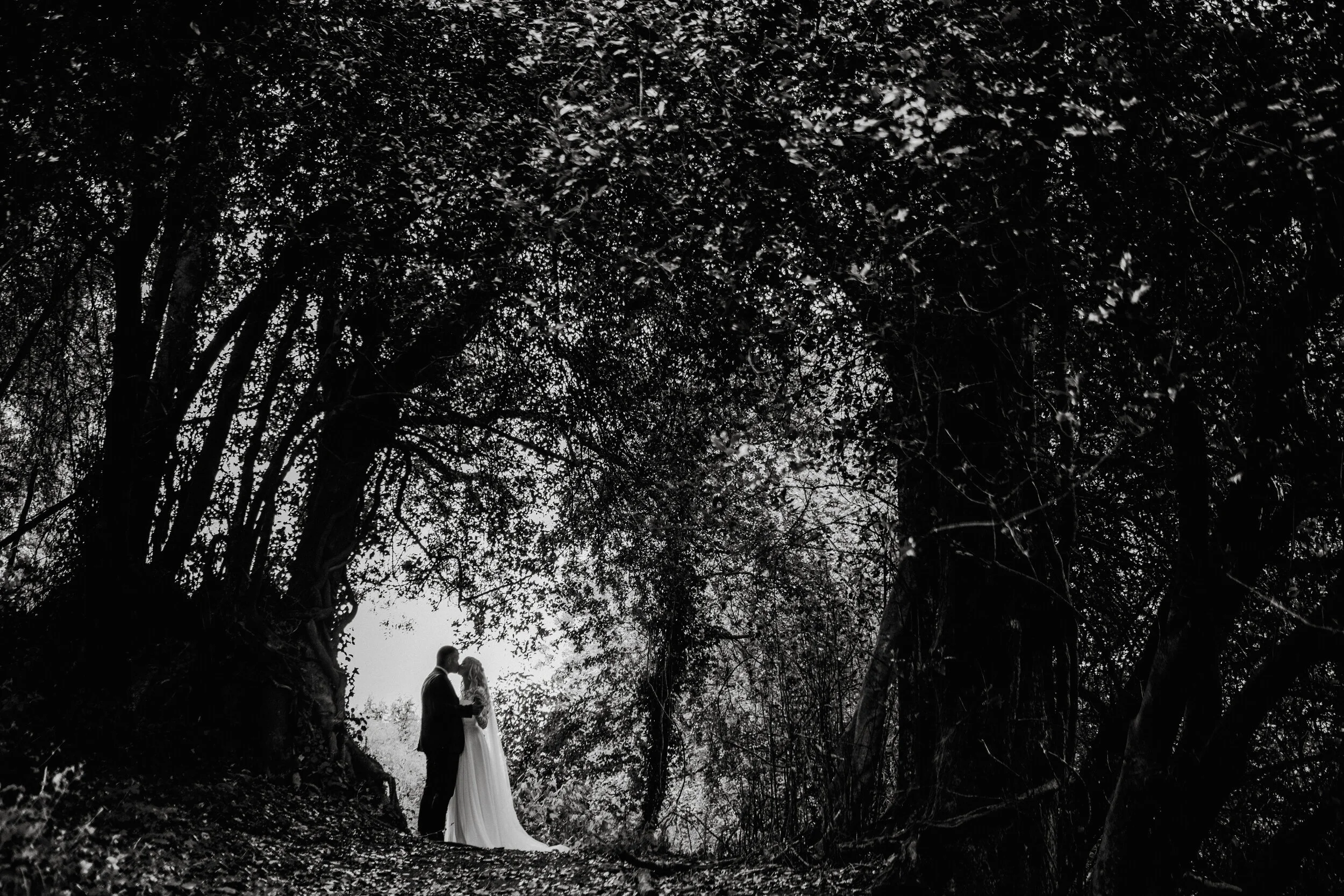 Black and white photo of a couple standing close together under a large tree in a forest, holding hands and looking at each other.