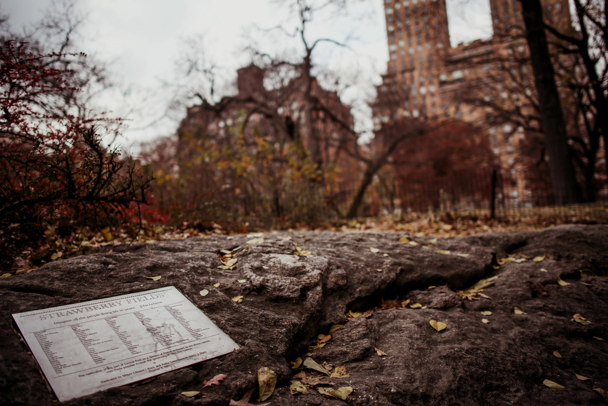 Close-up of a sign titled 'Strawberry Fields' lying on a large rock in a park with leafless trees and buildings in the background, during autumn.