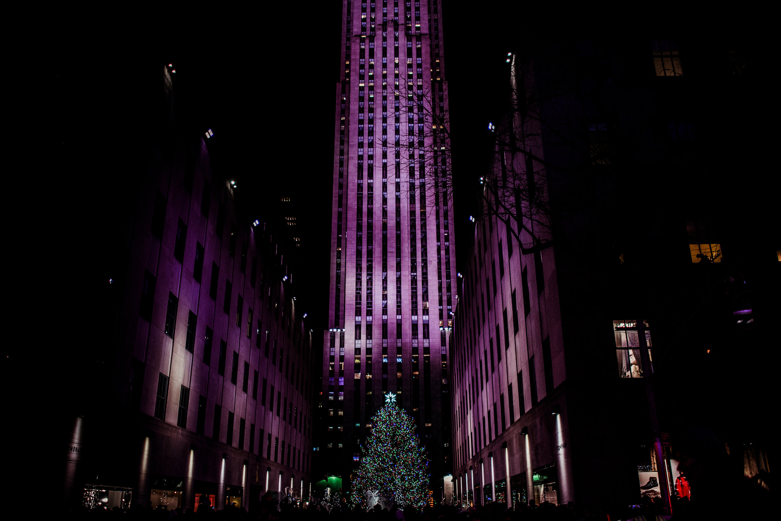 Night scene of a lit-up Christmas tree in a city plaza surrounded by tall buildings with purple lighting, with people gathered at the base.