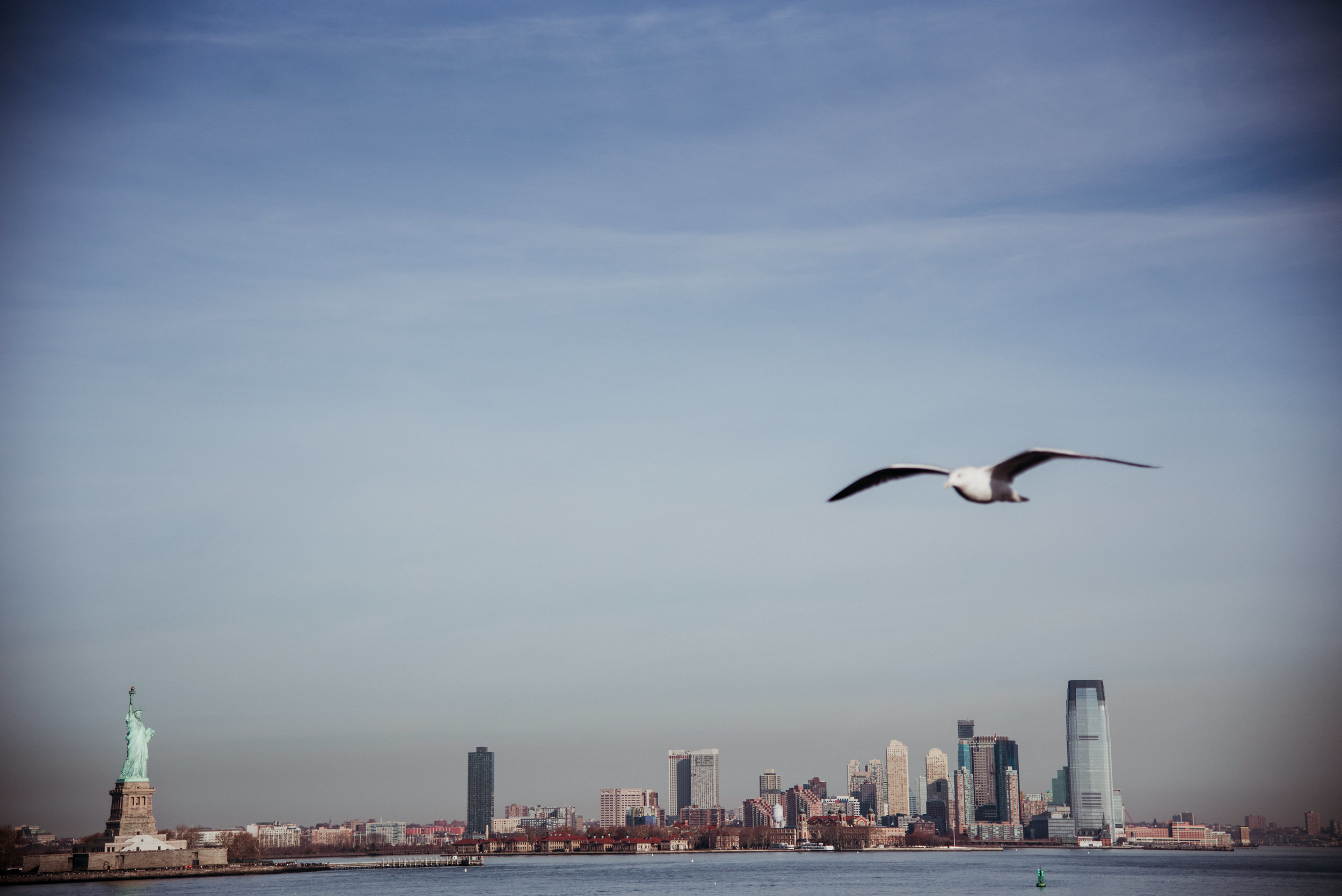 A seagull flying over the New York City skyline with the Statue of Liberty in the distance and a body of water in the foreground.