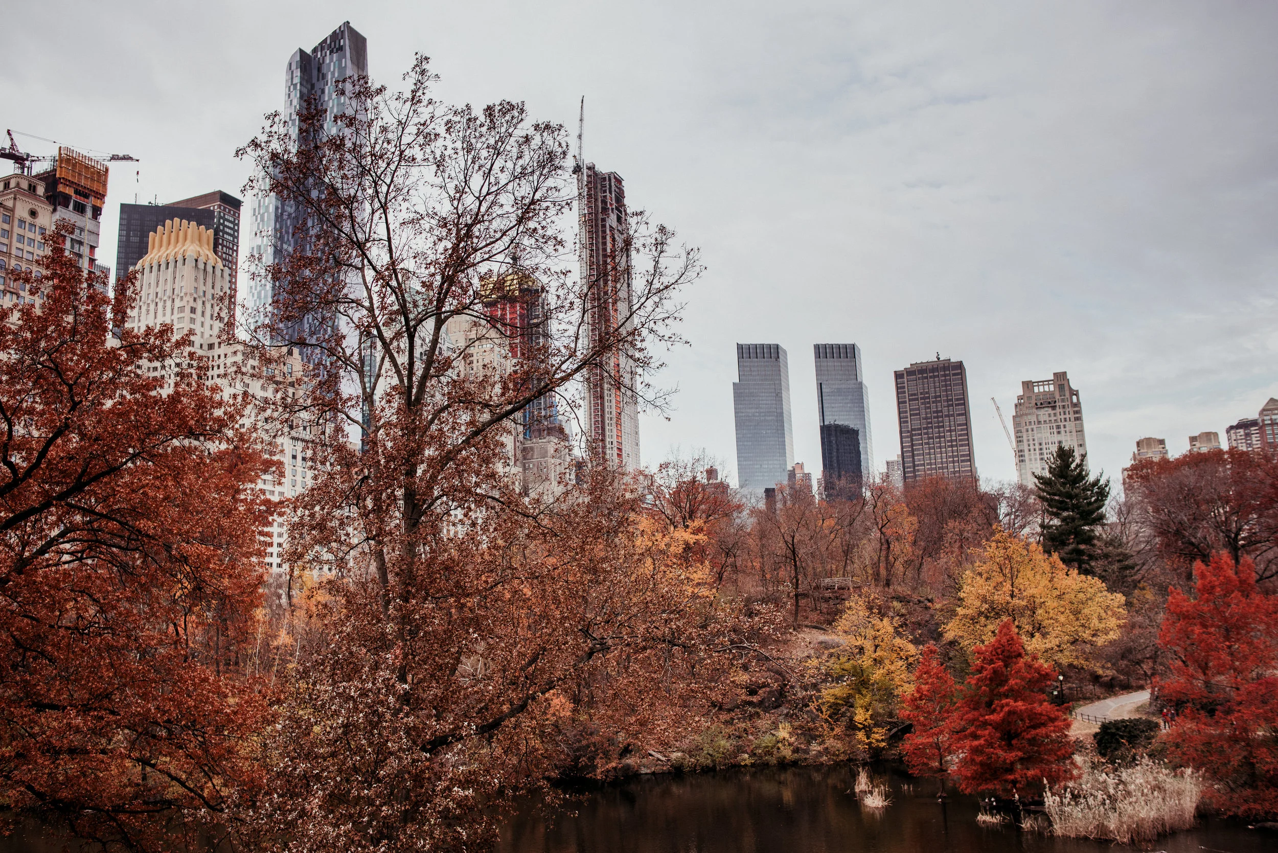 Autumn scene in a city park with colorful fall trees and a body of water in the foreground, skyscrapers and buildings visible in the background under a cloudy sky.