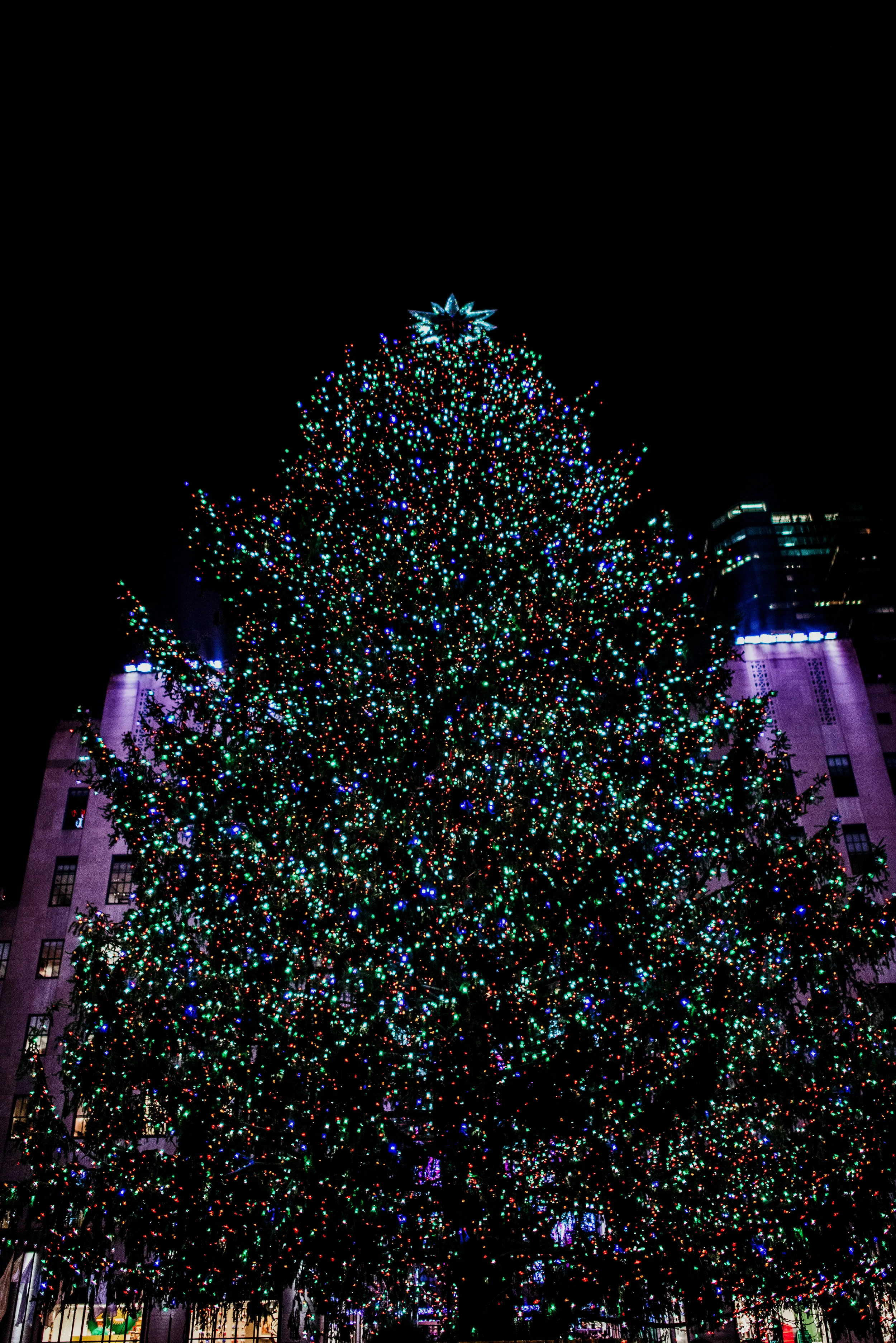 A large Christmas tree decorated with multicolored lights at night, with buildings illuminated in the background.