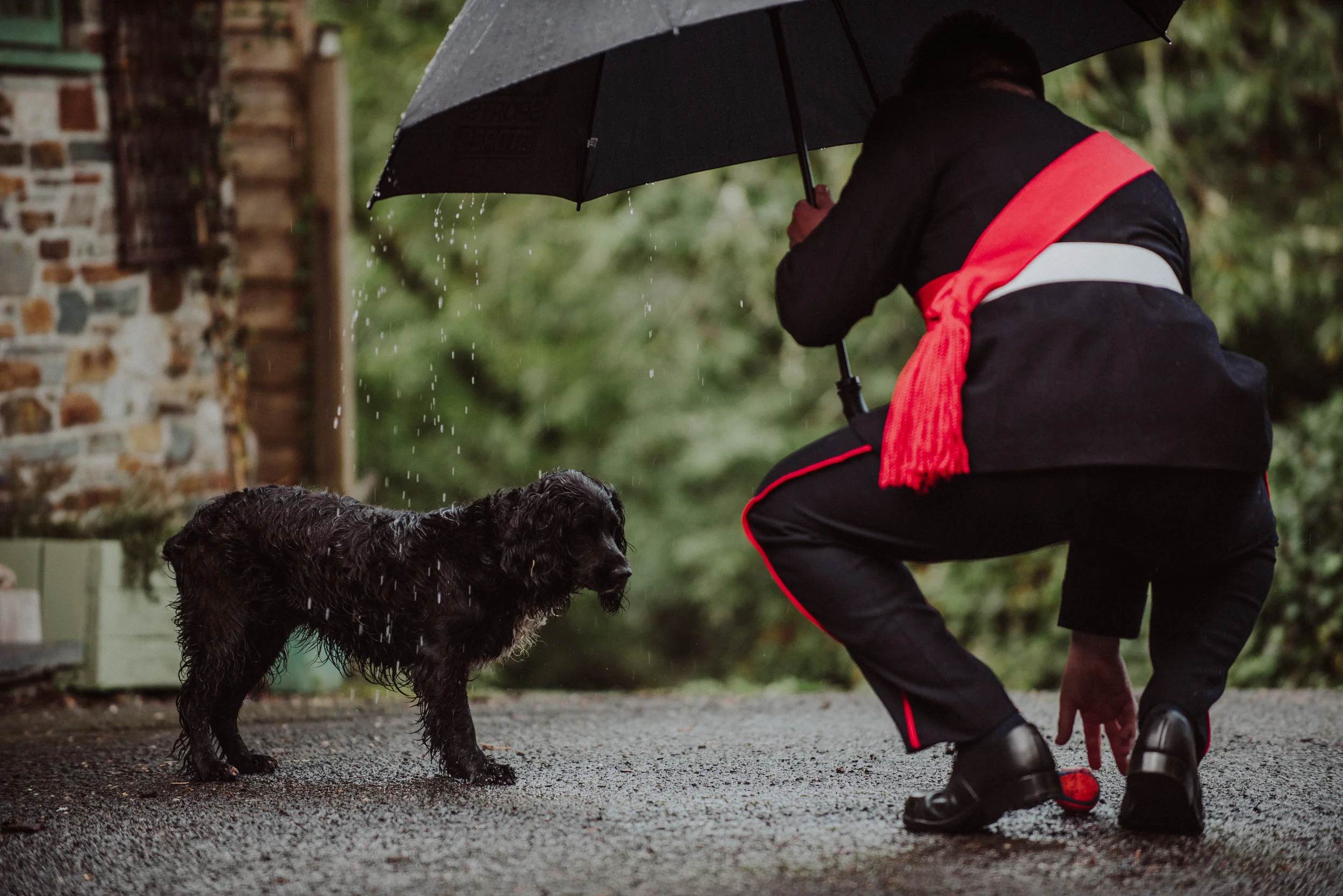 A person squatting on a wet pavement holding a black umbrella while talking to a wet, black and white dog. The person is wearing black clothing with red accents, and the background is blurred greenery.