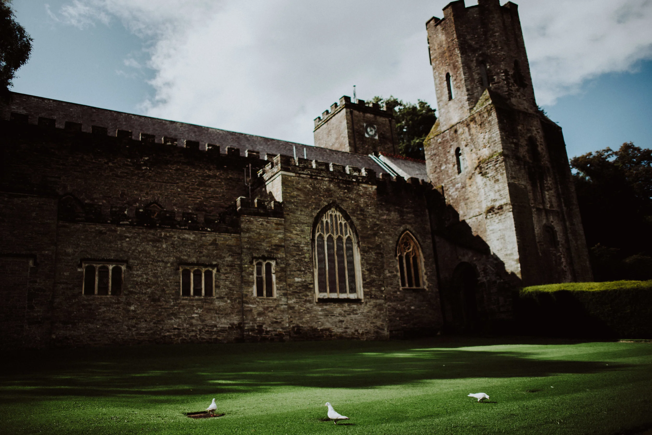 An old stone church with gothic windows, a tall tower, and a grassy area with three seagulls in the foreground.